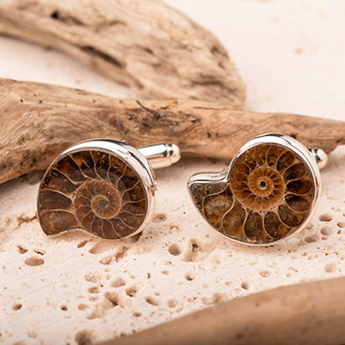 Ammonite fossil jewellery and cufflinks in sterling silver