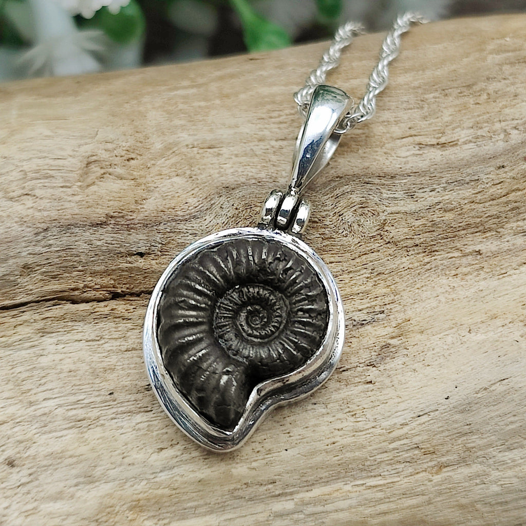 Ammonite pendant, promicroceras ammonite, black fossil necklace