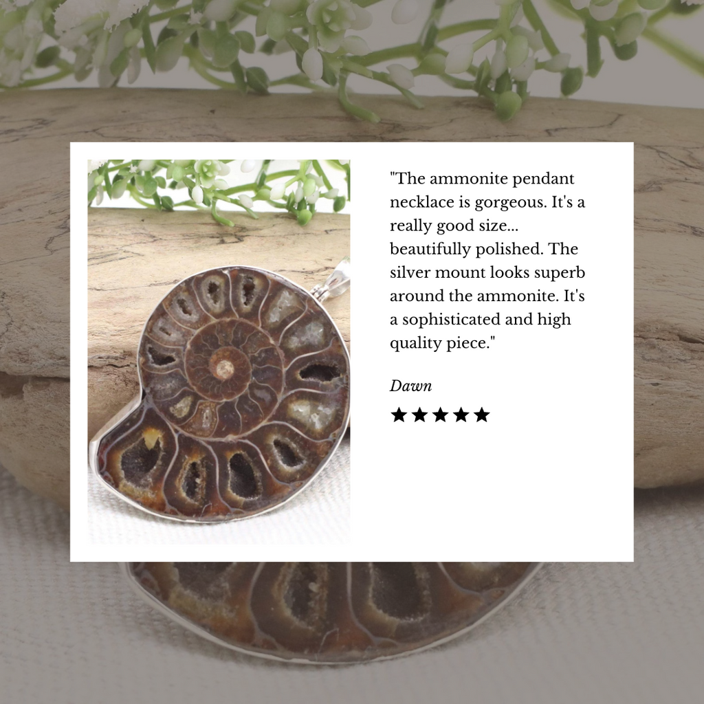Five-star review of Ammonite pendant in sterling silver. 
