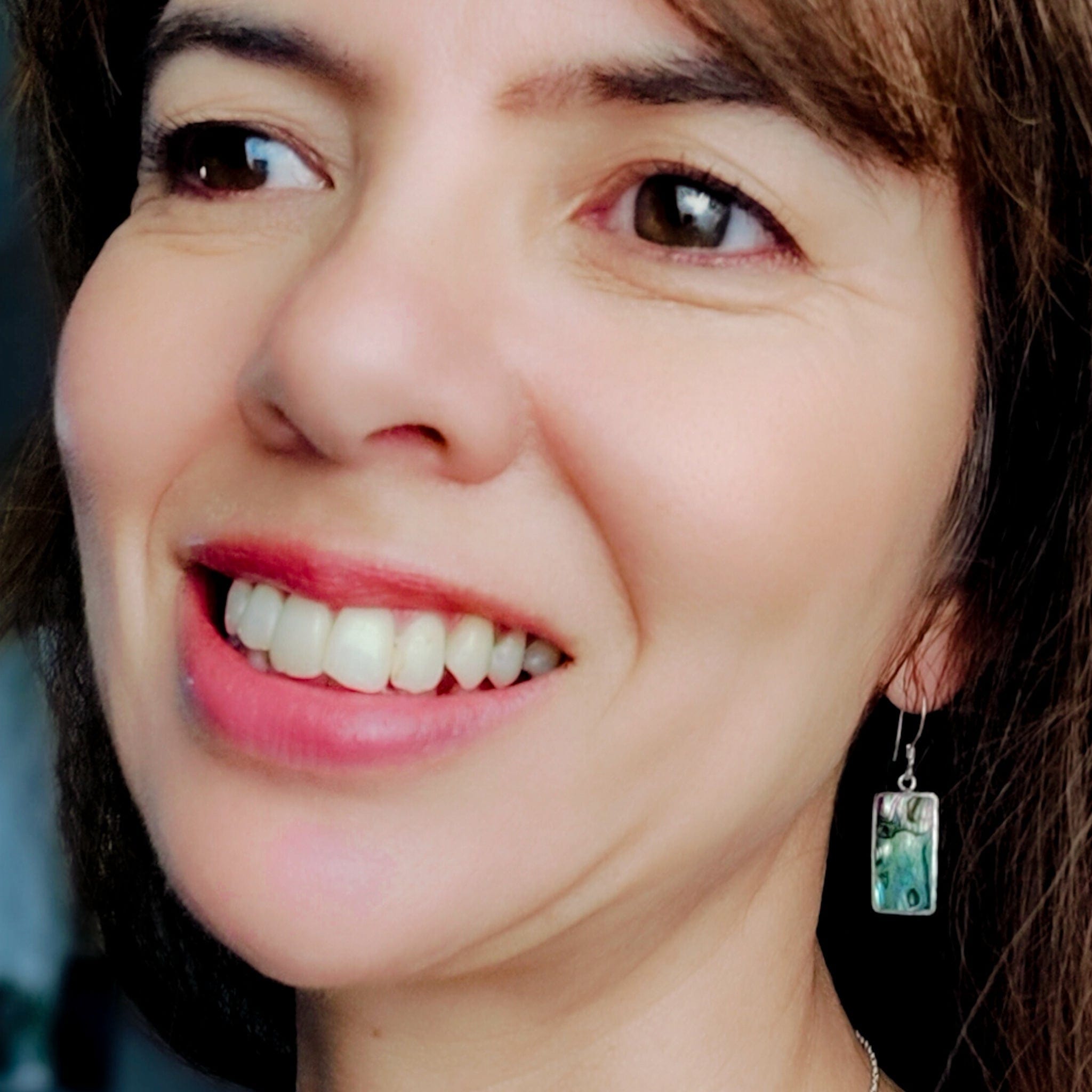 Hepburn and Hughes Abalone Shell Earrings | Reversible with Mother of Pearl | Sterling Silver