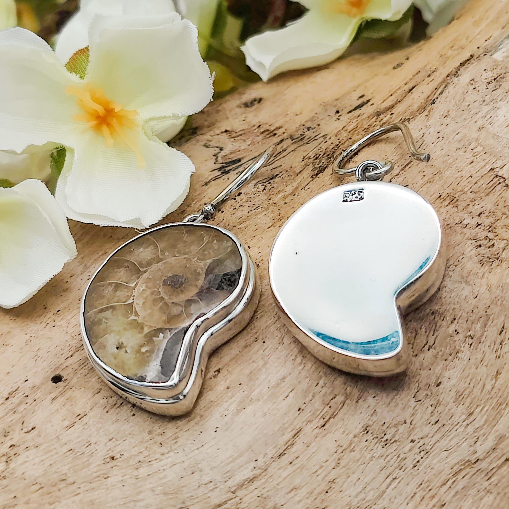 Hepburn and Hughes Ammonite 24mm Earrings | Madagascan Fossil Jewellery | Sterling Silver