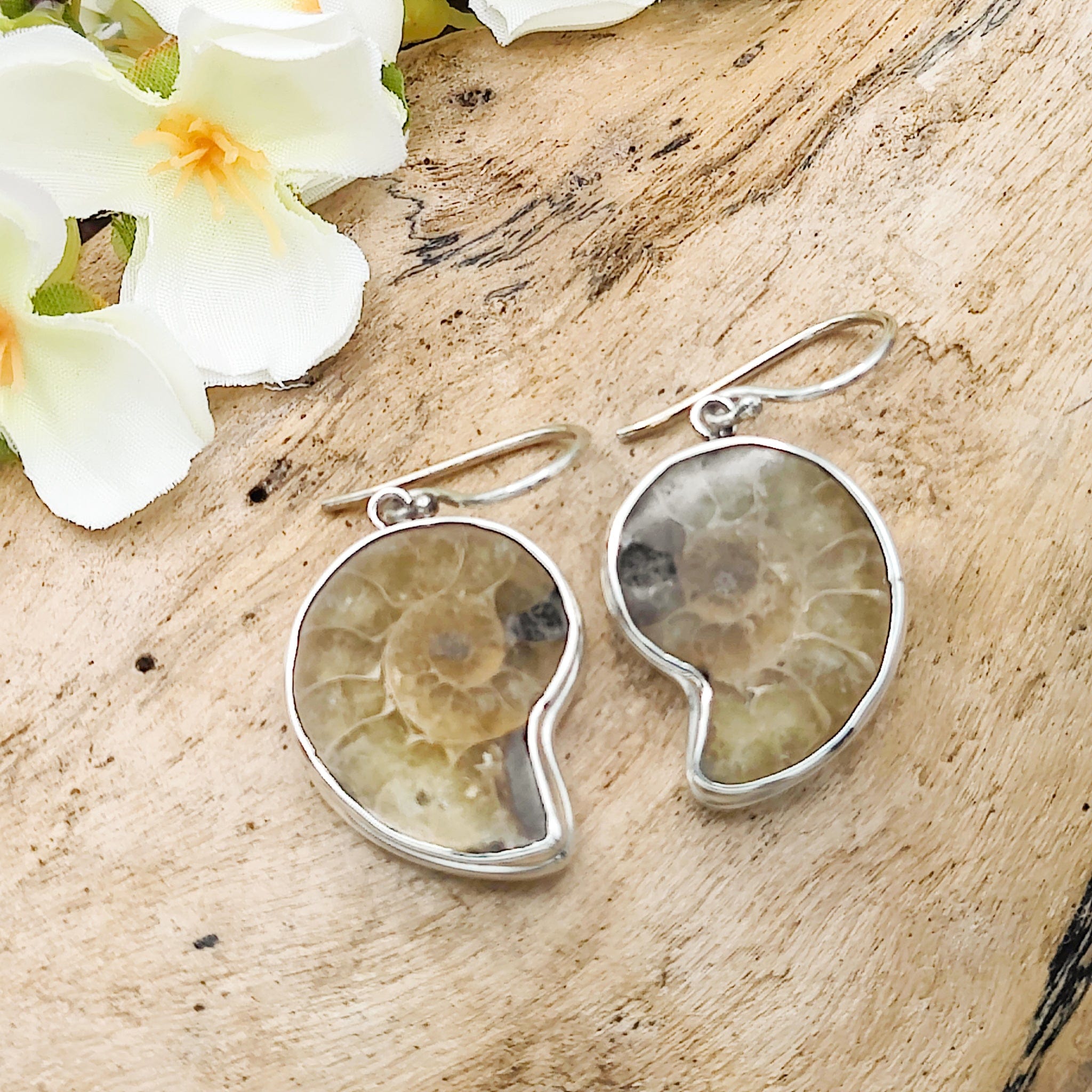 Hepburn and Hughes Ammonite 24mm Earrings | Madagascan Fossil Jewellery | Sterling Silver
