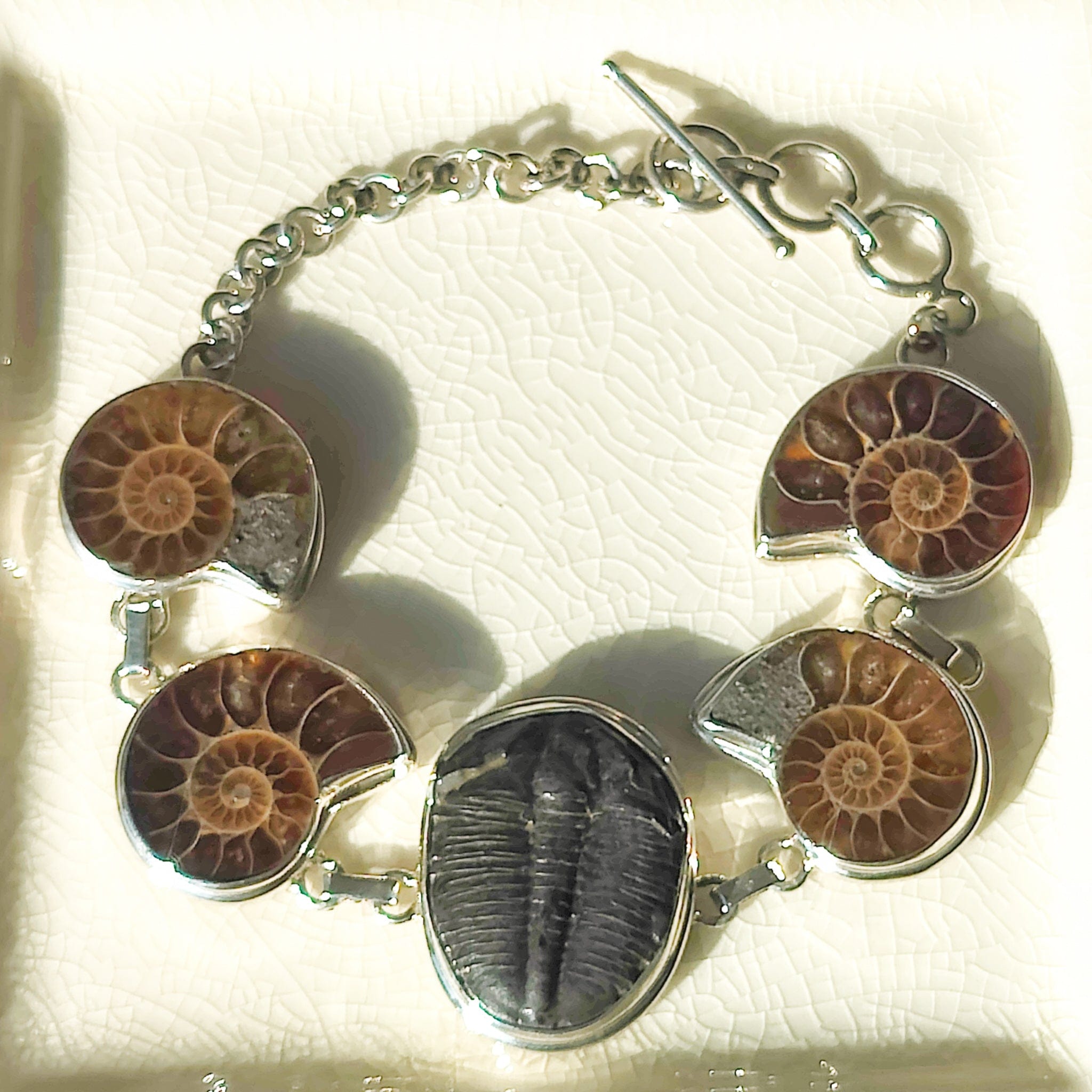 Hepburn and Hughes Ammonite and Trilobite Fossil Bracelet | Made with Ancient Fossils | Set in Sterling Silver