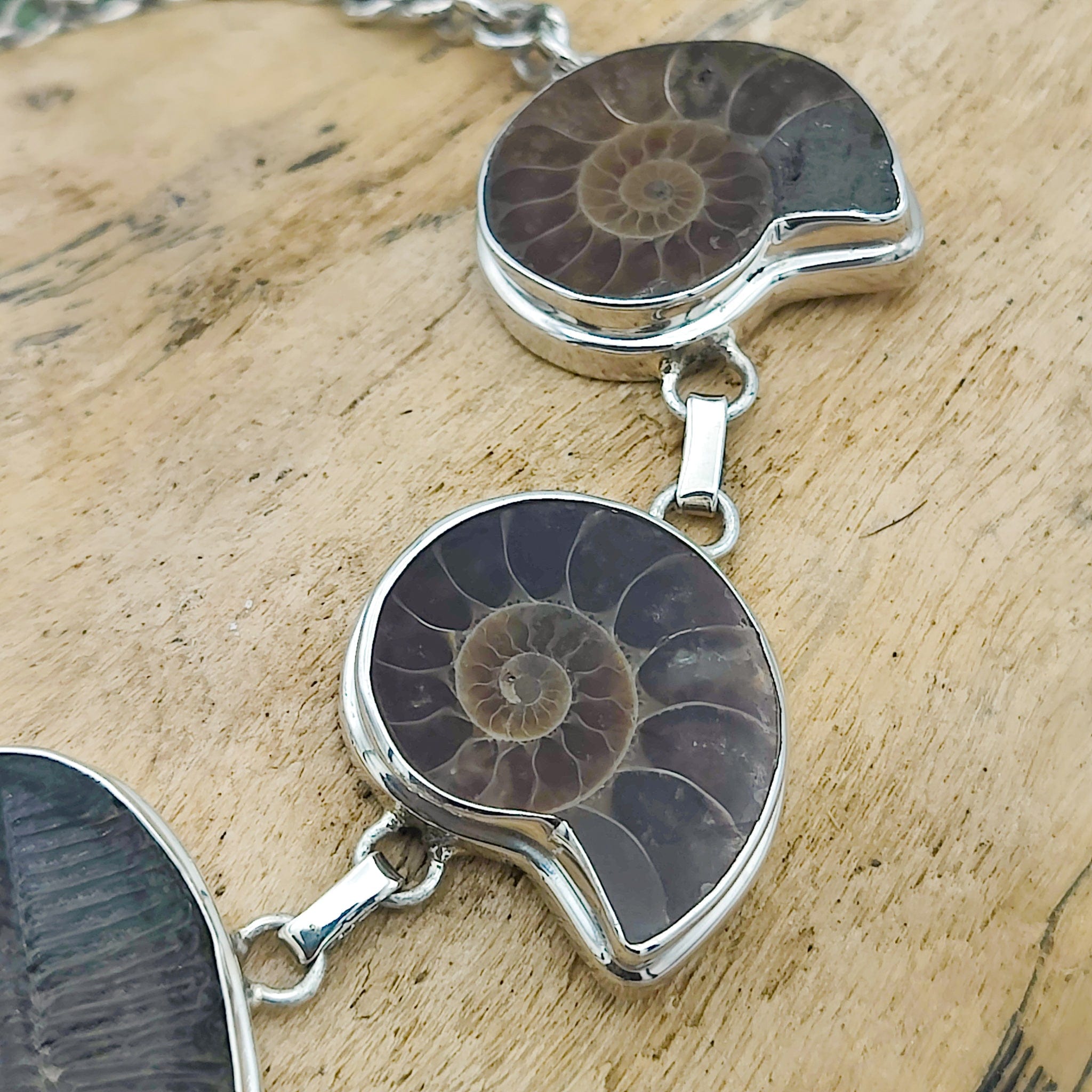Hepburn and Hughes Ammonite and Trilobite Fossil Bracelet | Made with Ancient Fossils | Set in Sterling Silver