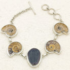 Hepburn and Hughes Ammonite and Trilobite Fossil Bracelet | Made with Ancient Fossils | Set in Sterling Silver