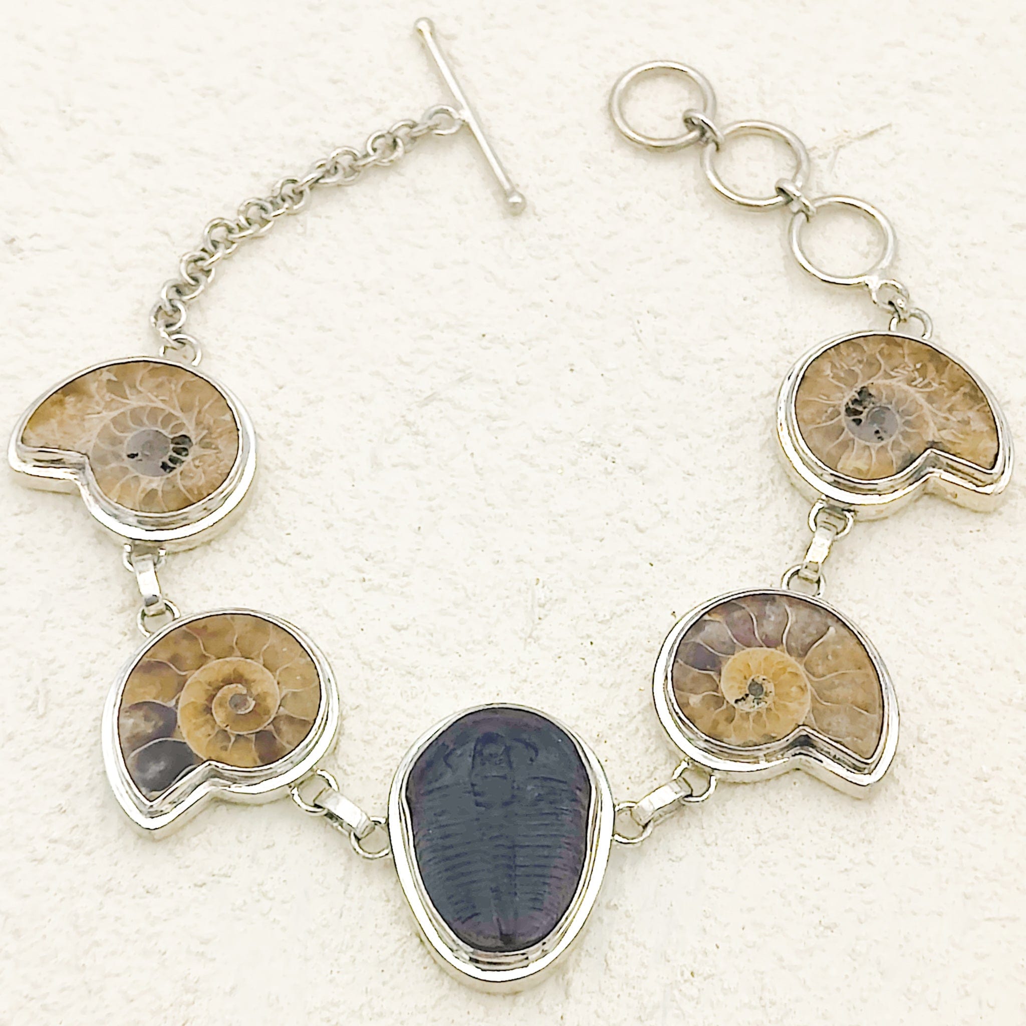 Hepburn and Hughes Ammonite and Trilobite Fossil Bracelet | Made with Ancient Fossils | Set in Sterling Silver