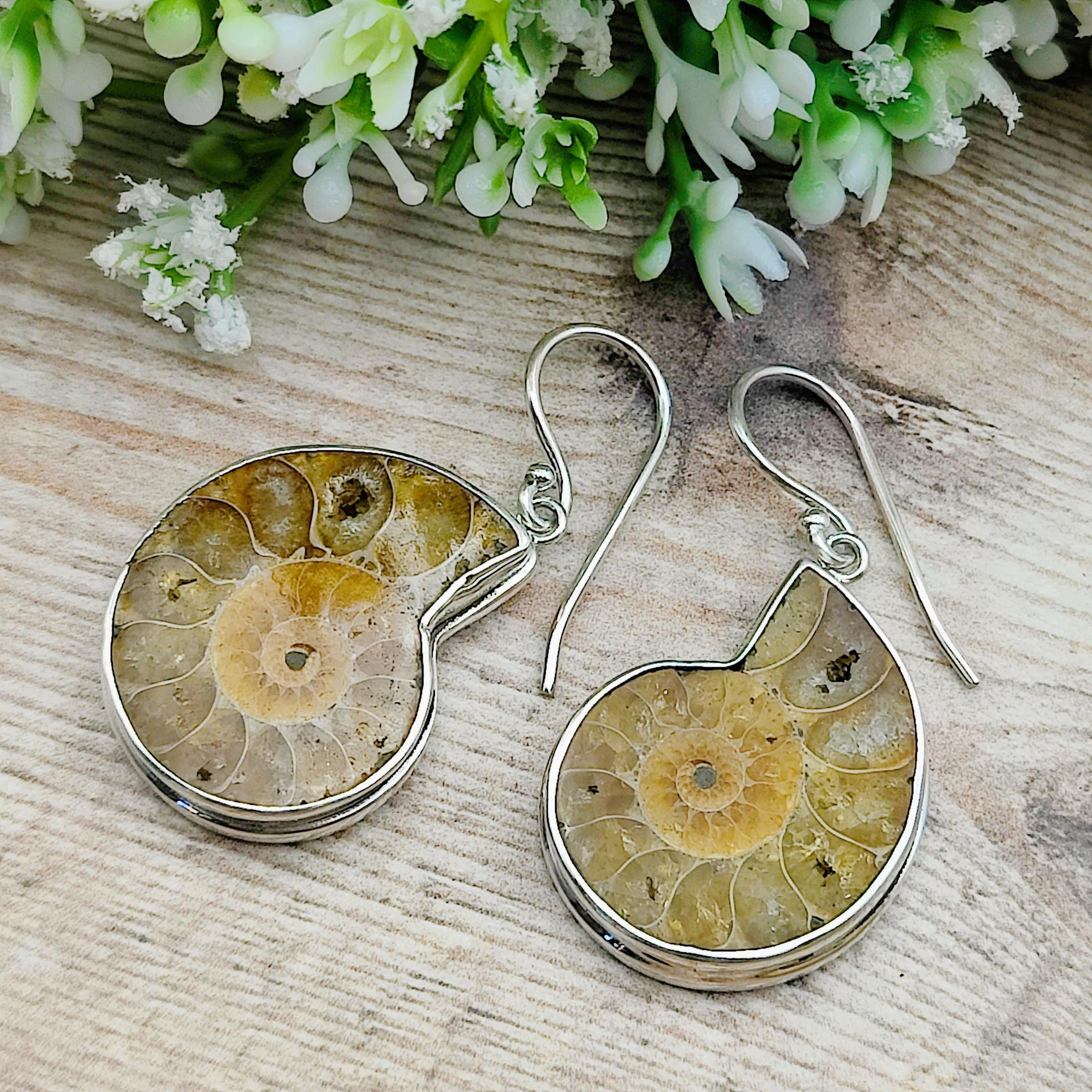 Hepburn and Hughes Ammonite Earrings | Madagascan light tones | 25mm Ammonites | Fossil Jewellery | Sterling Silver