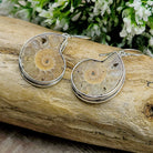 Hepburn and Hughes Ammonite Earrings | Madagascan light tones | 25mm Ammonites | Fossil Jewellery | Sterling Silver