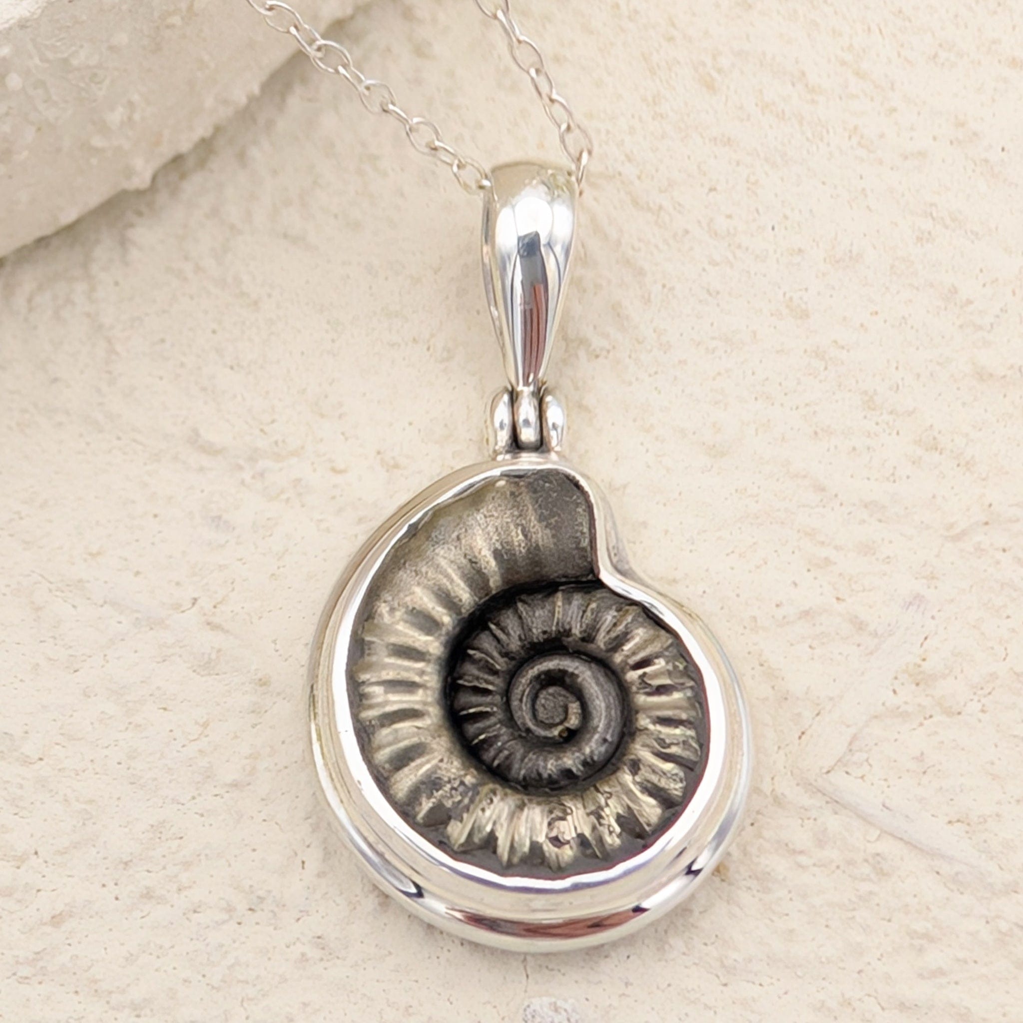 Hepburn and Hughes Ammonite Fossil Pendant | 17mm Promicroceras Necklace | Geology Gift | Sterling Silver