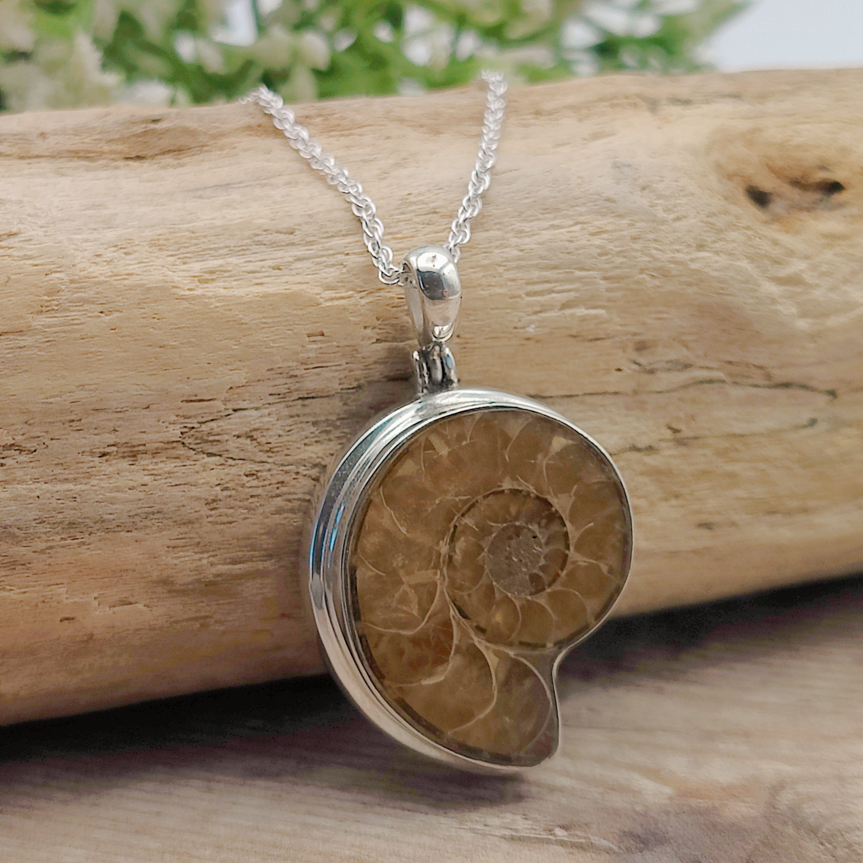 Hepburn and Hughes Ammonite Fossil Pendant | 30mm Madagascan | Sterling Silver