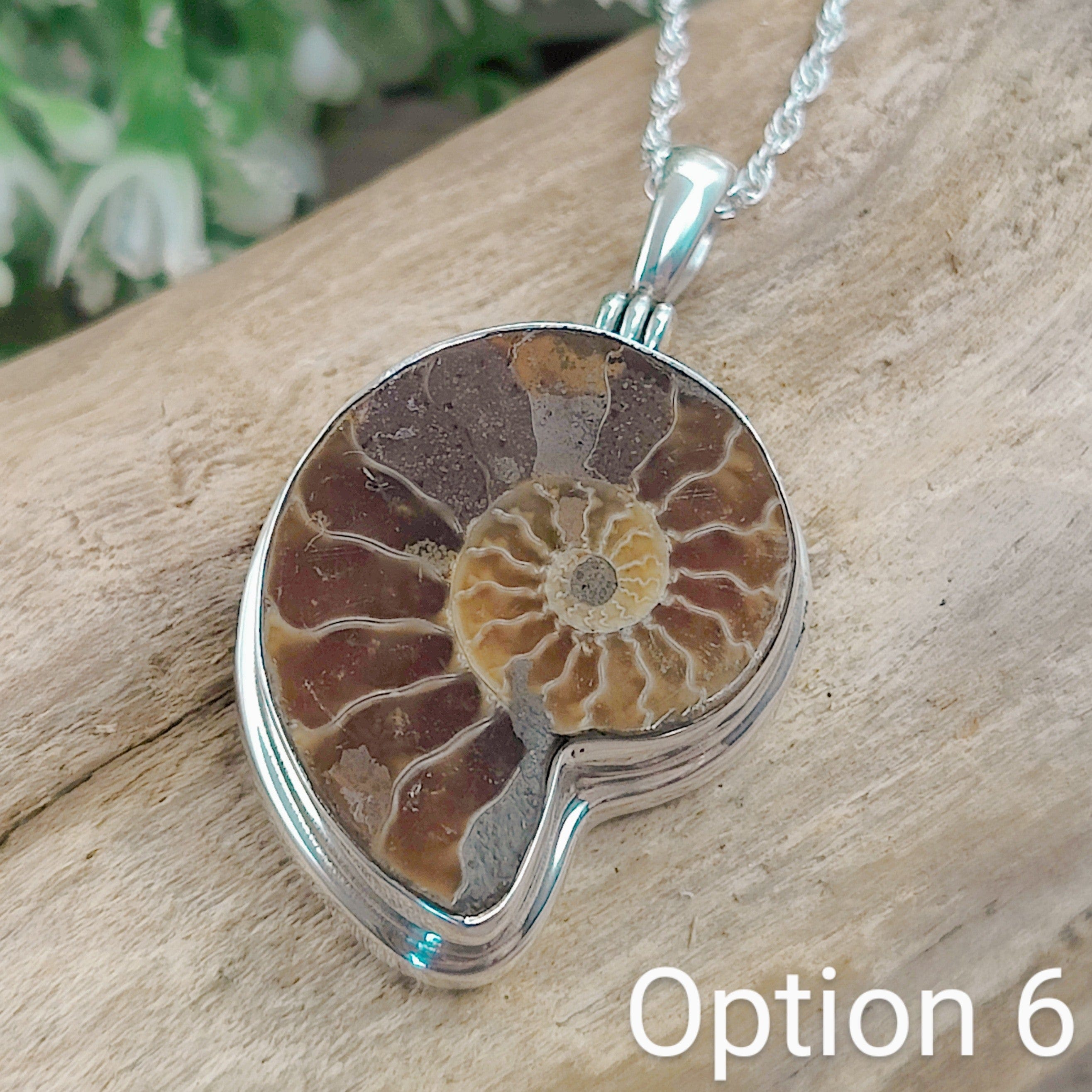 Hepburn and Hughes Ammonite Fossil Pendant | 30mm Madagascan | Sterling Silver