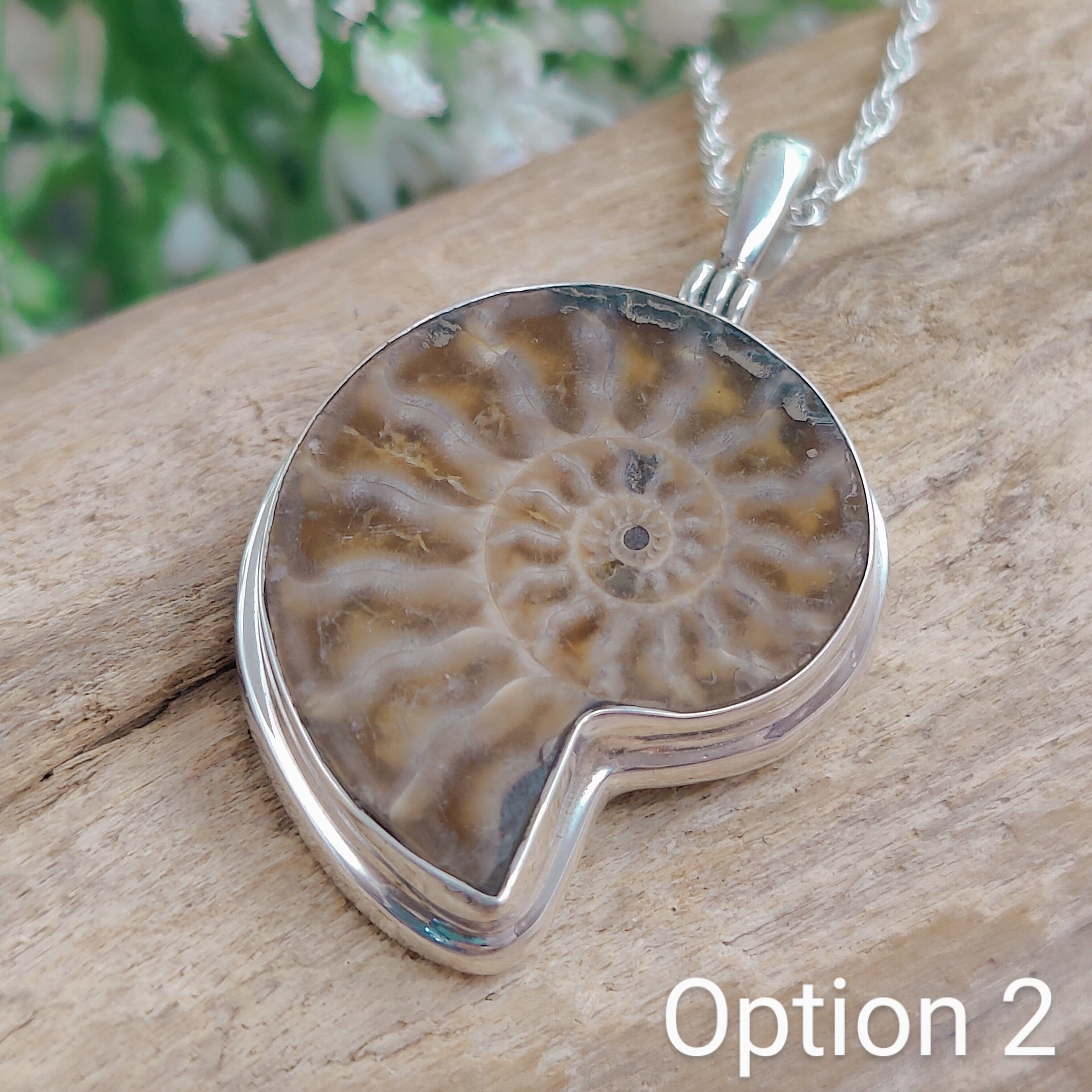 Hepburn and Hughes Ammonite Fossil Pendant | 30mm Madagascan | Sterling Silver