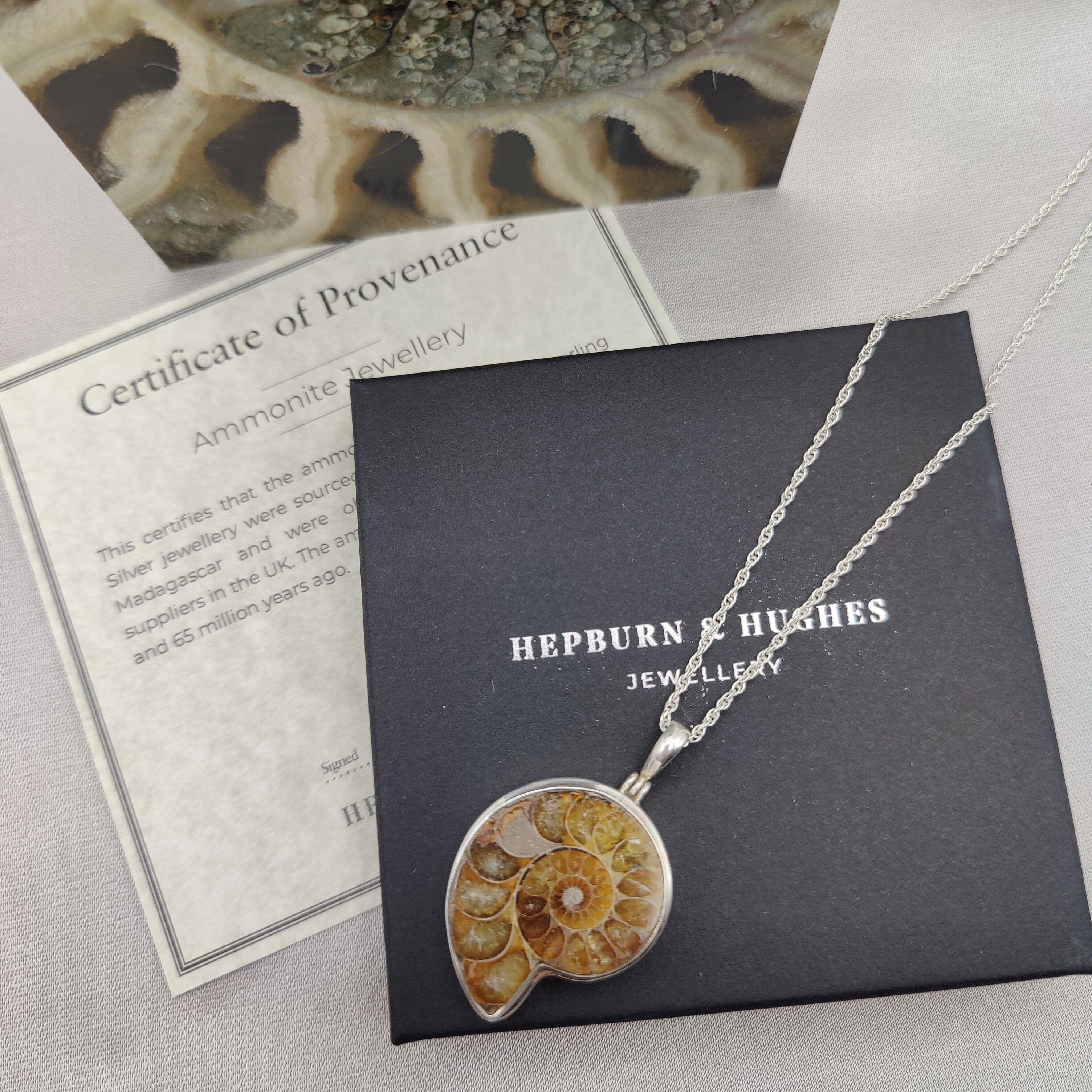 Hepburn and Hughes Ammonite Fossil Pendant | 30mm Madagascan | Sterling Silver