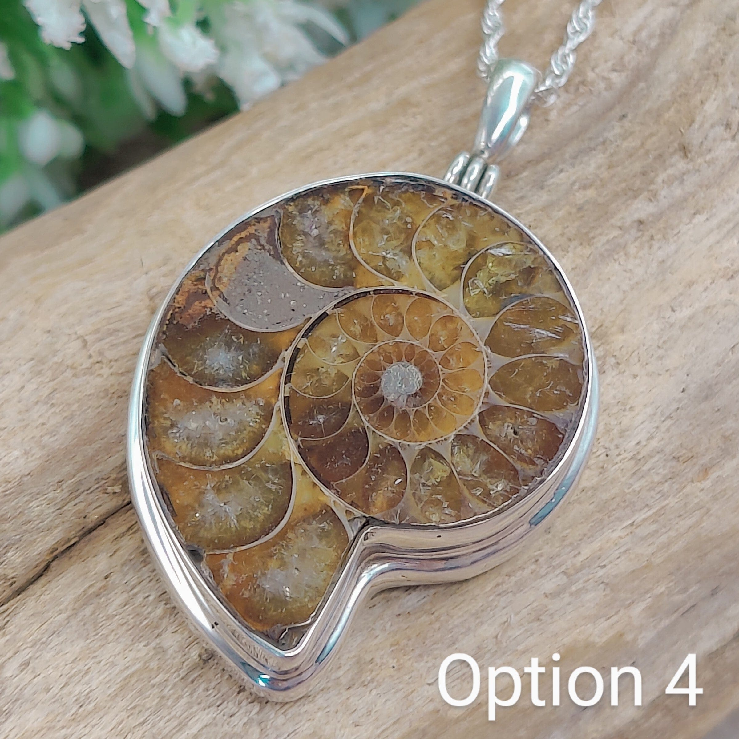 Hepburn and Hughes Ammonite Fossil Pendant | 30mm Madagascan | Sterling Silver