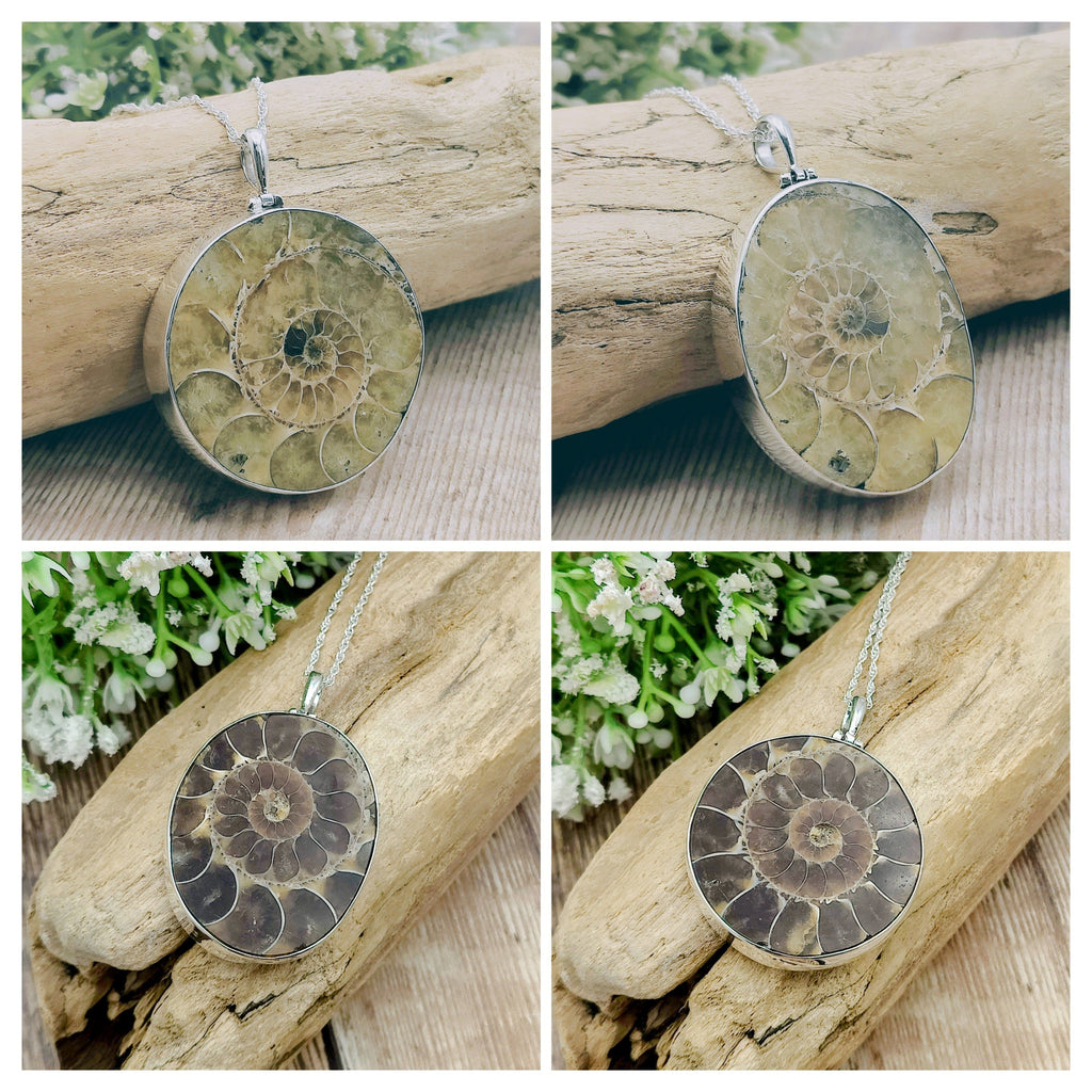 Hepburn and Hughes Ammonite Fossil Pendant | Circular | Two Options | Sterling Silver