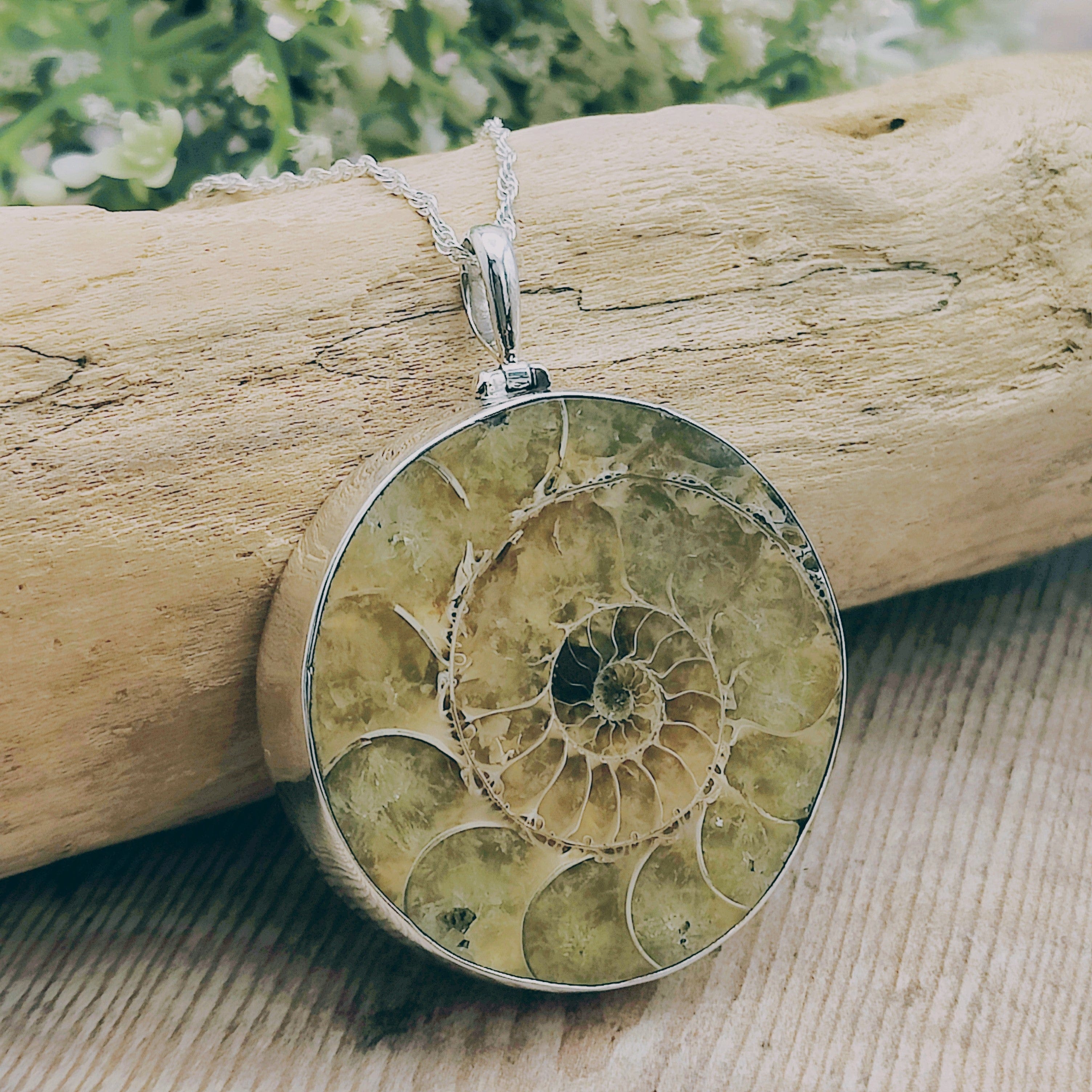 Hepburn and Hughes Ammonite Fossil Pendant | Circular | Two Options | Sterling Silver