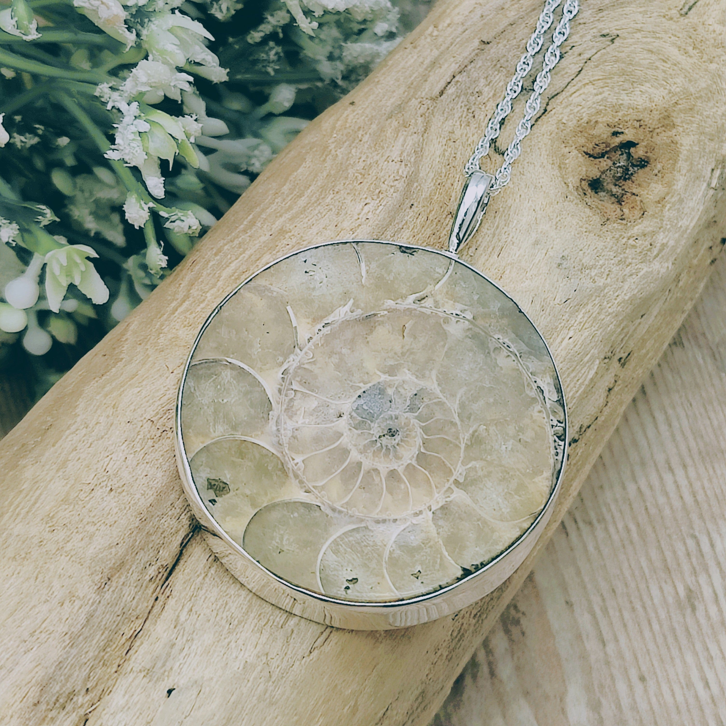 Hepburn and Hughes Ammonite Fossil Pendant | Circular | Two Options | Sterling Silver
