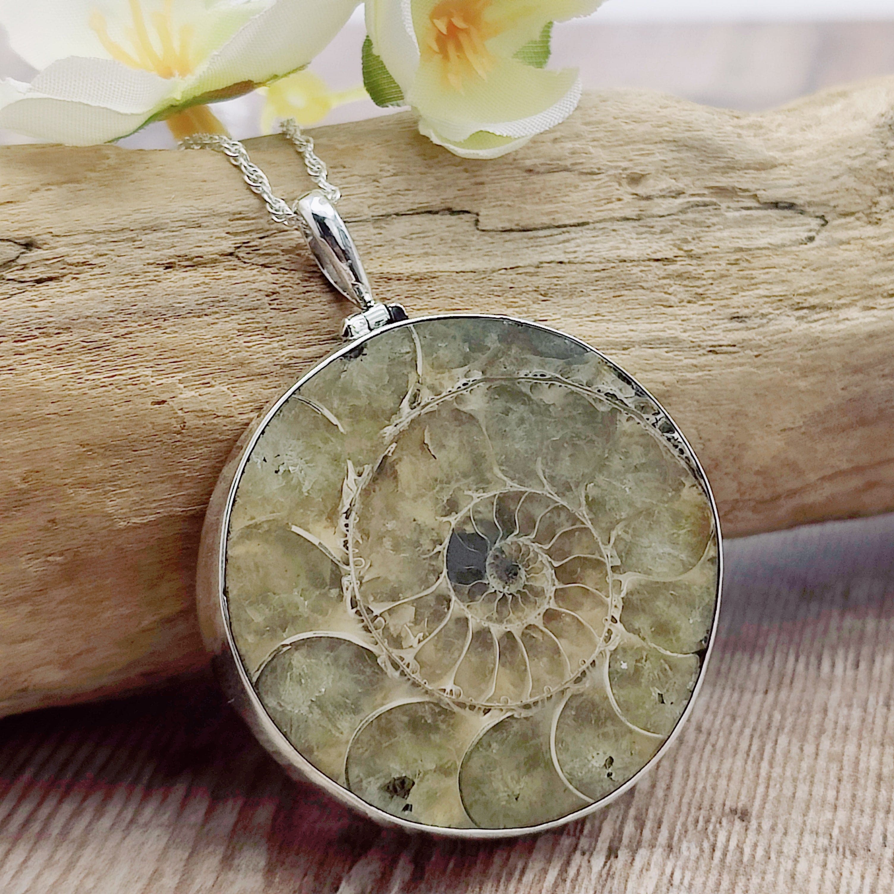 Hepburn and Hughes Ammonite Fossil Pendant | Circular | Two Options | Sterling Silver