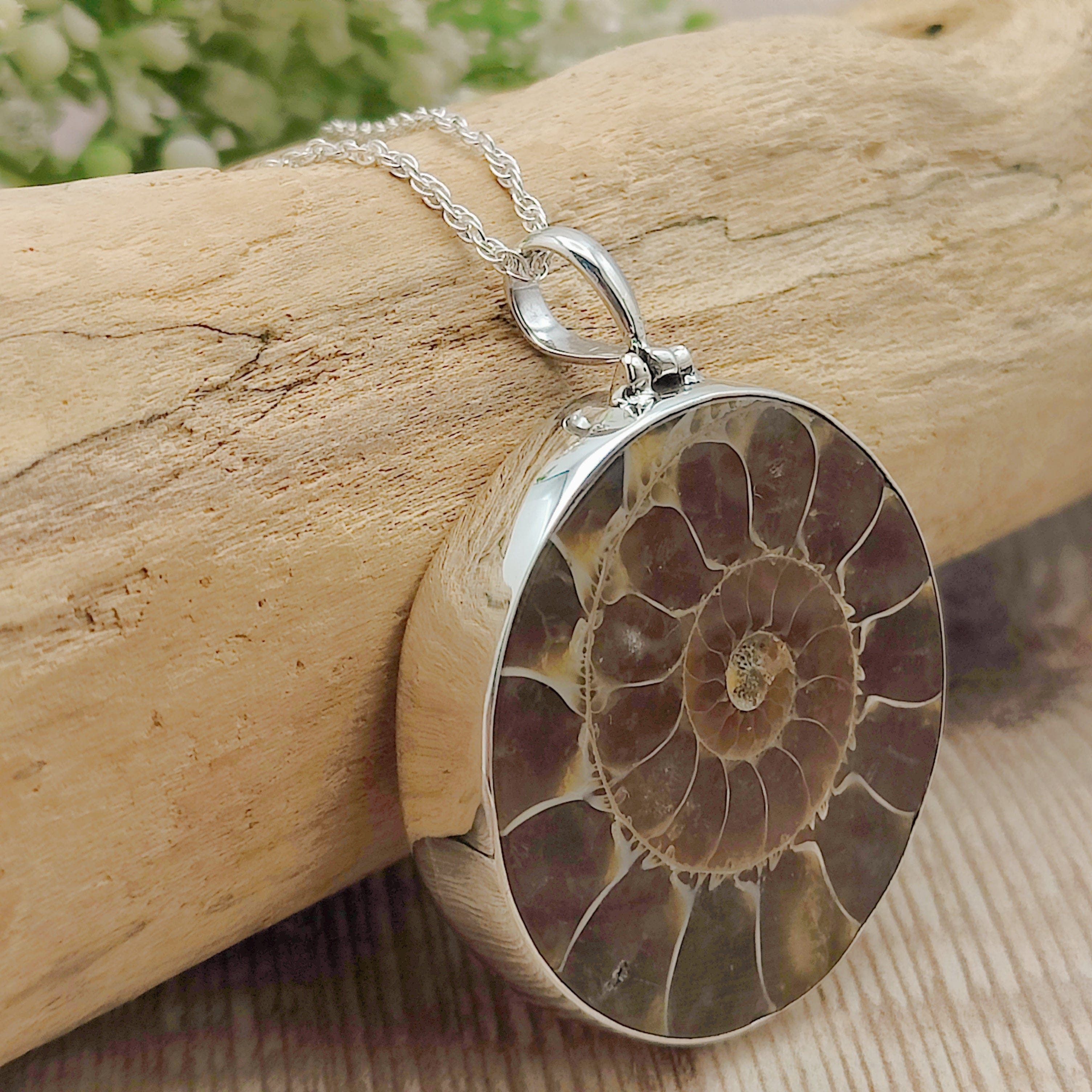Hepburn and Hughes Ammonite Fossil Pendant | Circular | Two Options | Sterling Silver