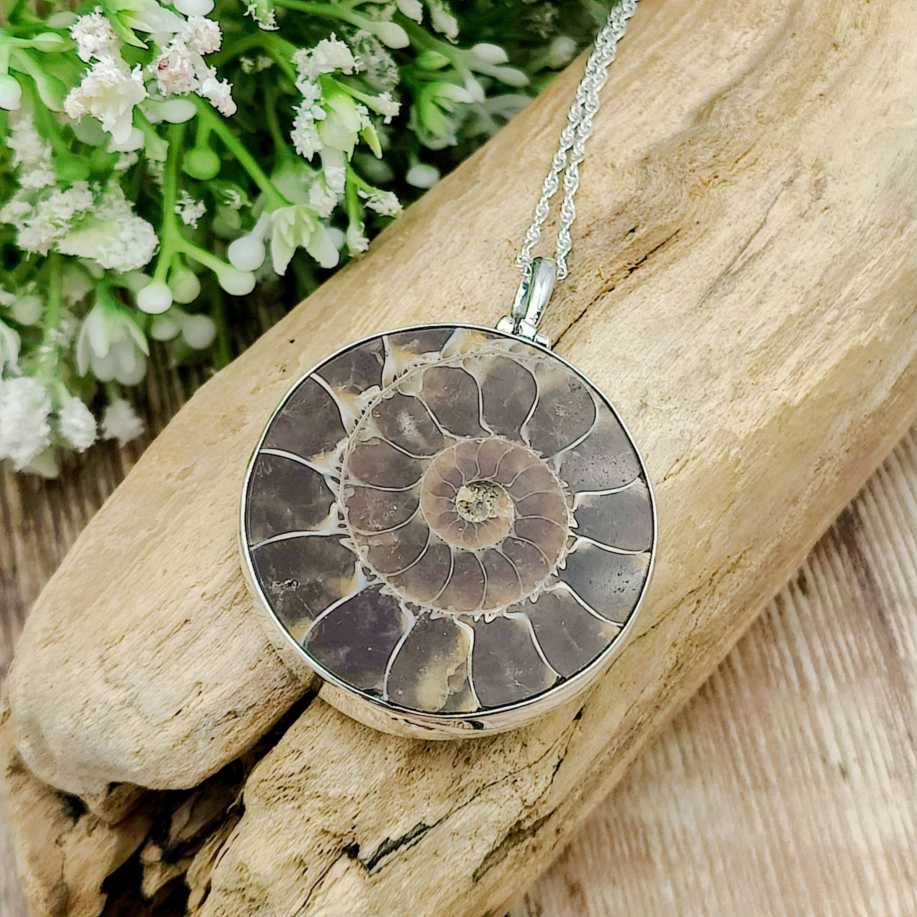 Hepburn and Hughes Ammonite Fossil Pendant | Circular | Two Options | Sterling Silver