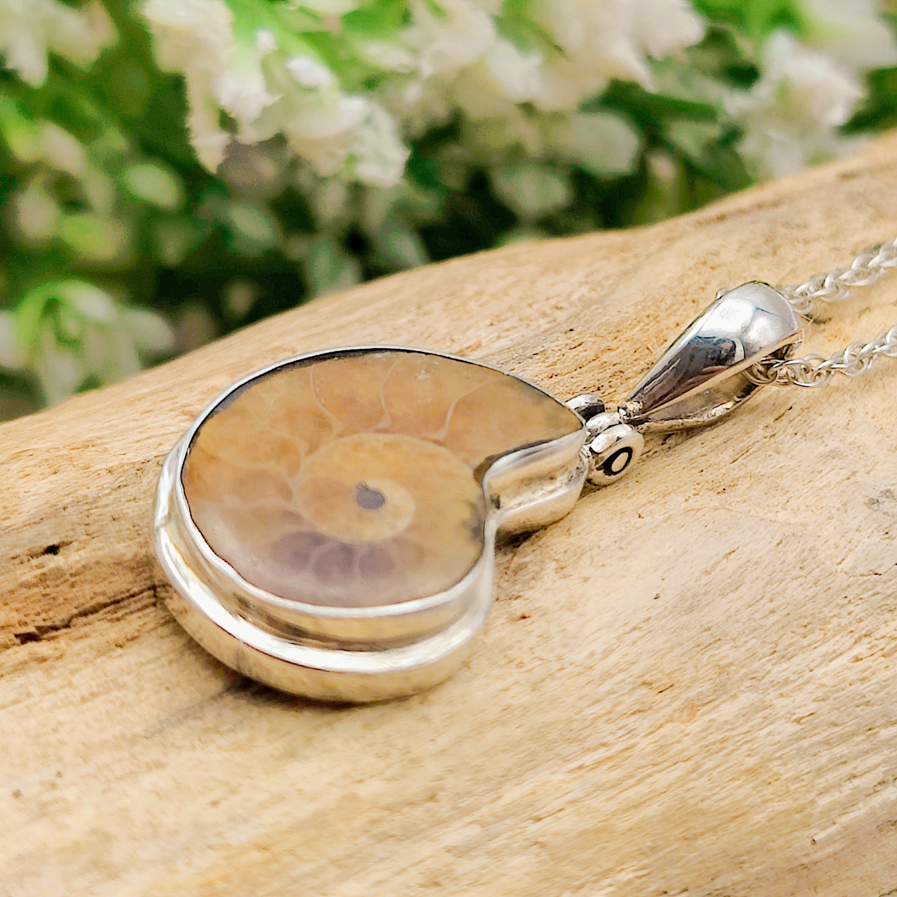 Hepburn and Hughes Ammonite Fossil Pendant | Extra Small Madagascan | Sterling Silver