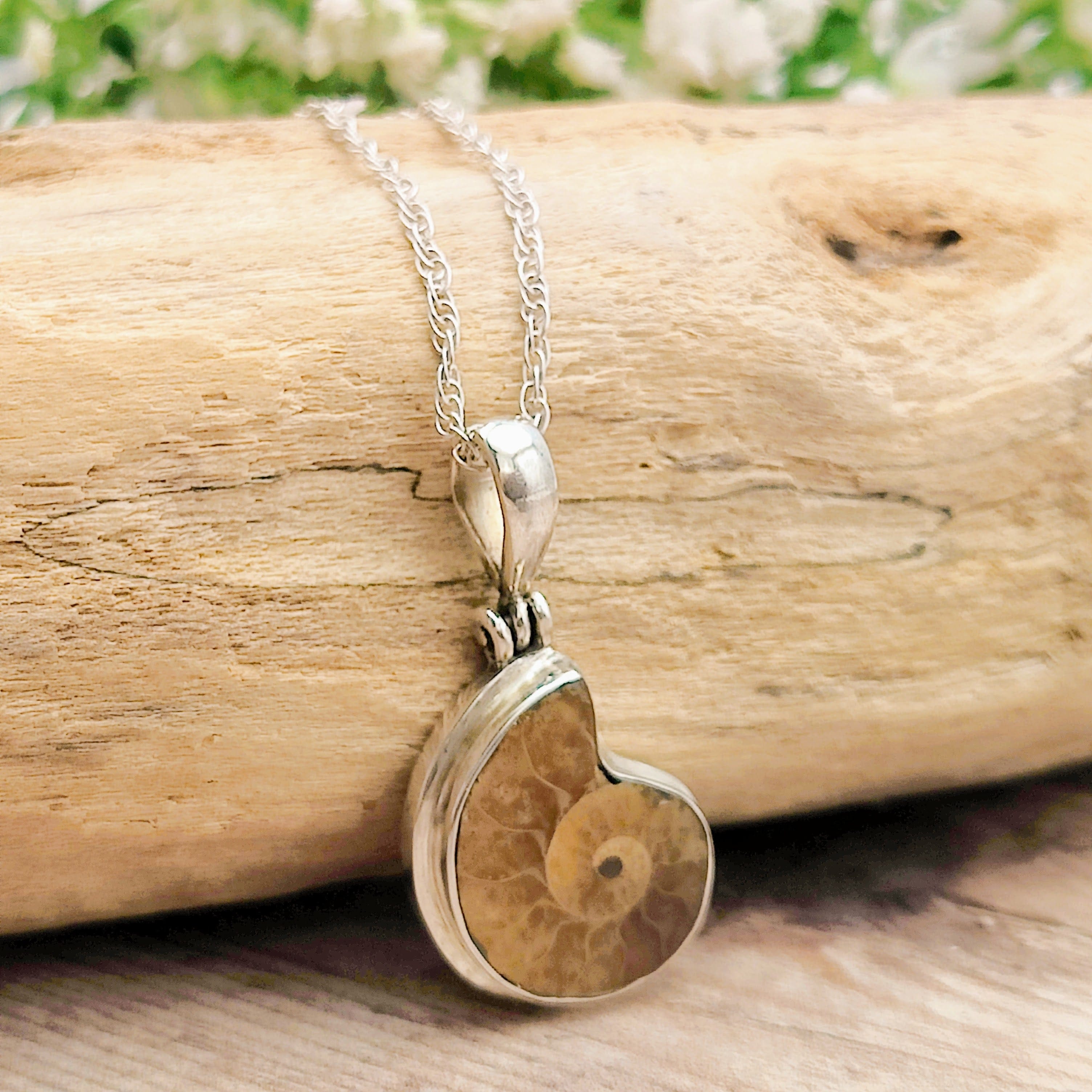 Hepburn and Hughes Ammonite Fossil Pendant | Extra Small Madagascan | Sterling Silver