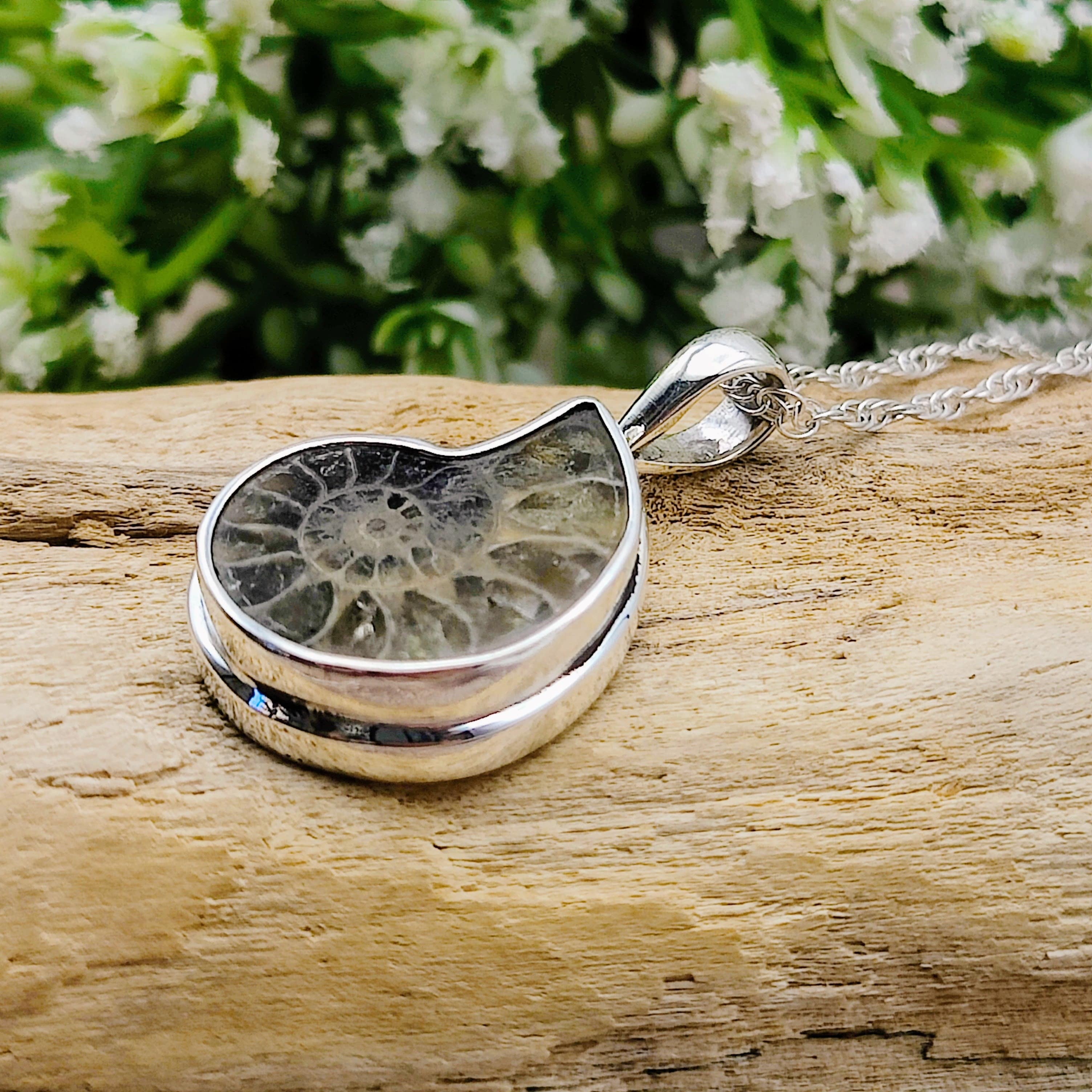Hepburn and Hughes Ammonite Fossil Pendant | Extra Small Madagascan | Sterling Silver