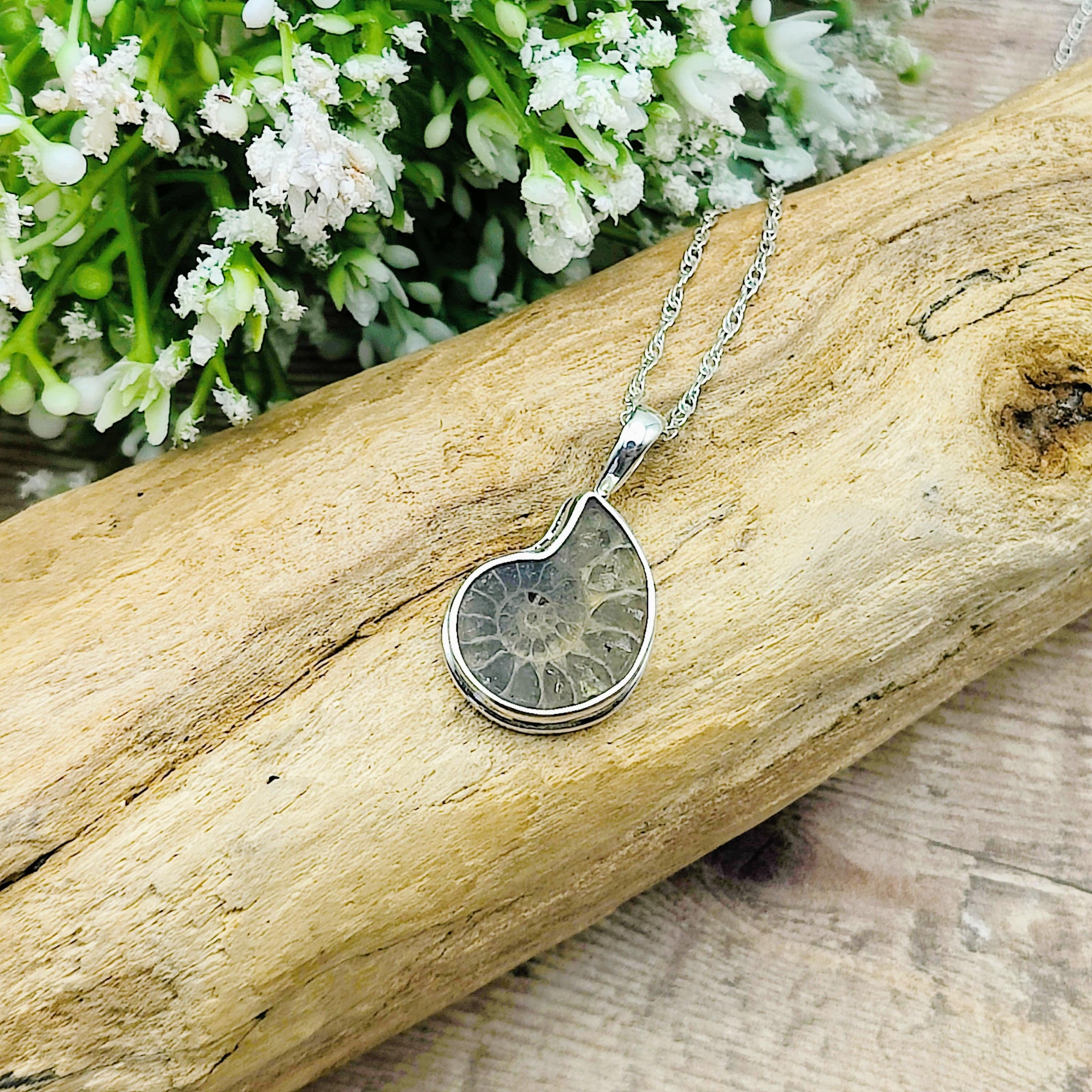 Hepburn and Hughes Ammonite Fossil Pendant | Extra Small Madagascan | Sterling Silver