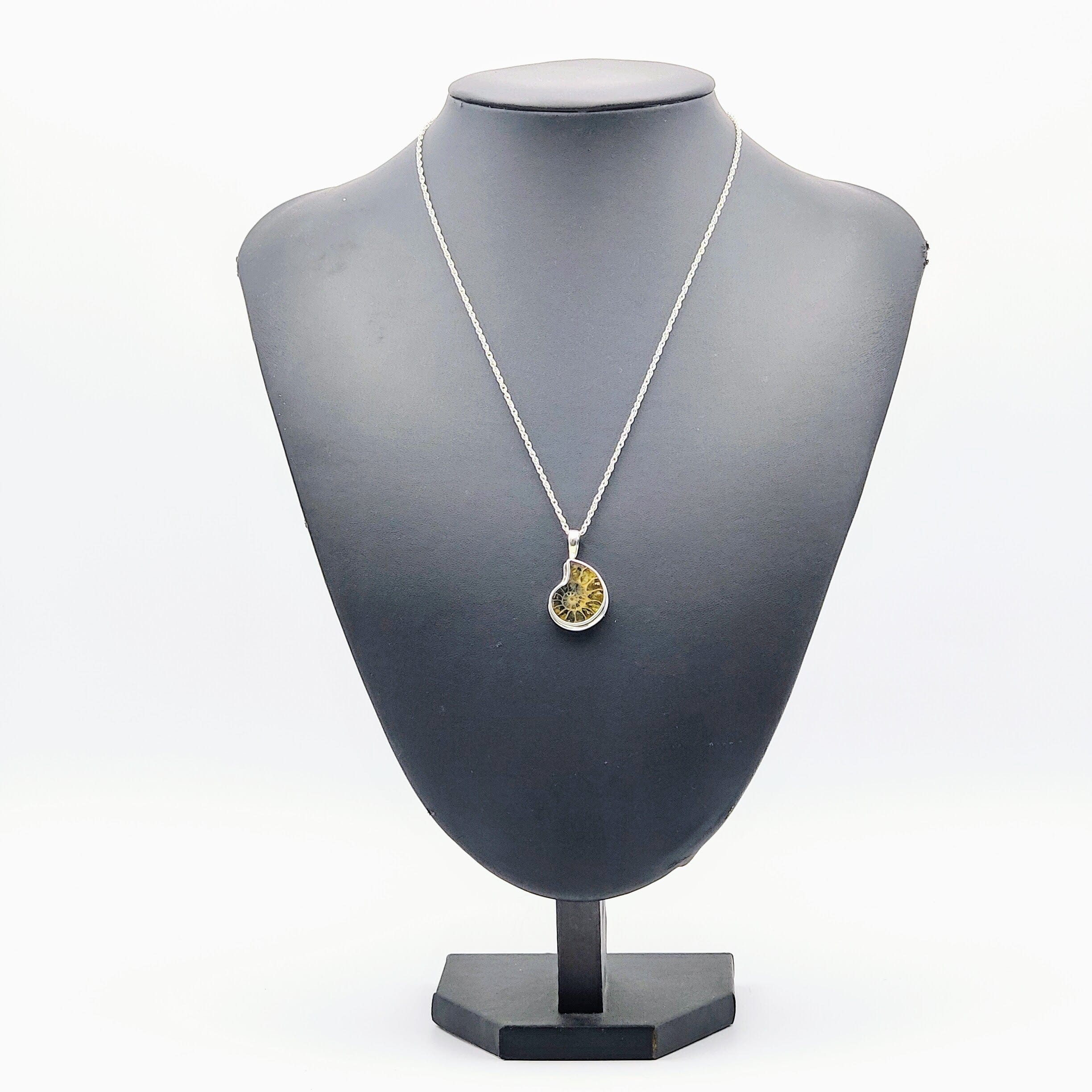 Hepburn and Hughes Ammonite Fossil Pendant | Extra Small Madagascan | Sterling Silver