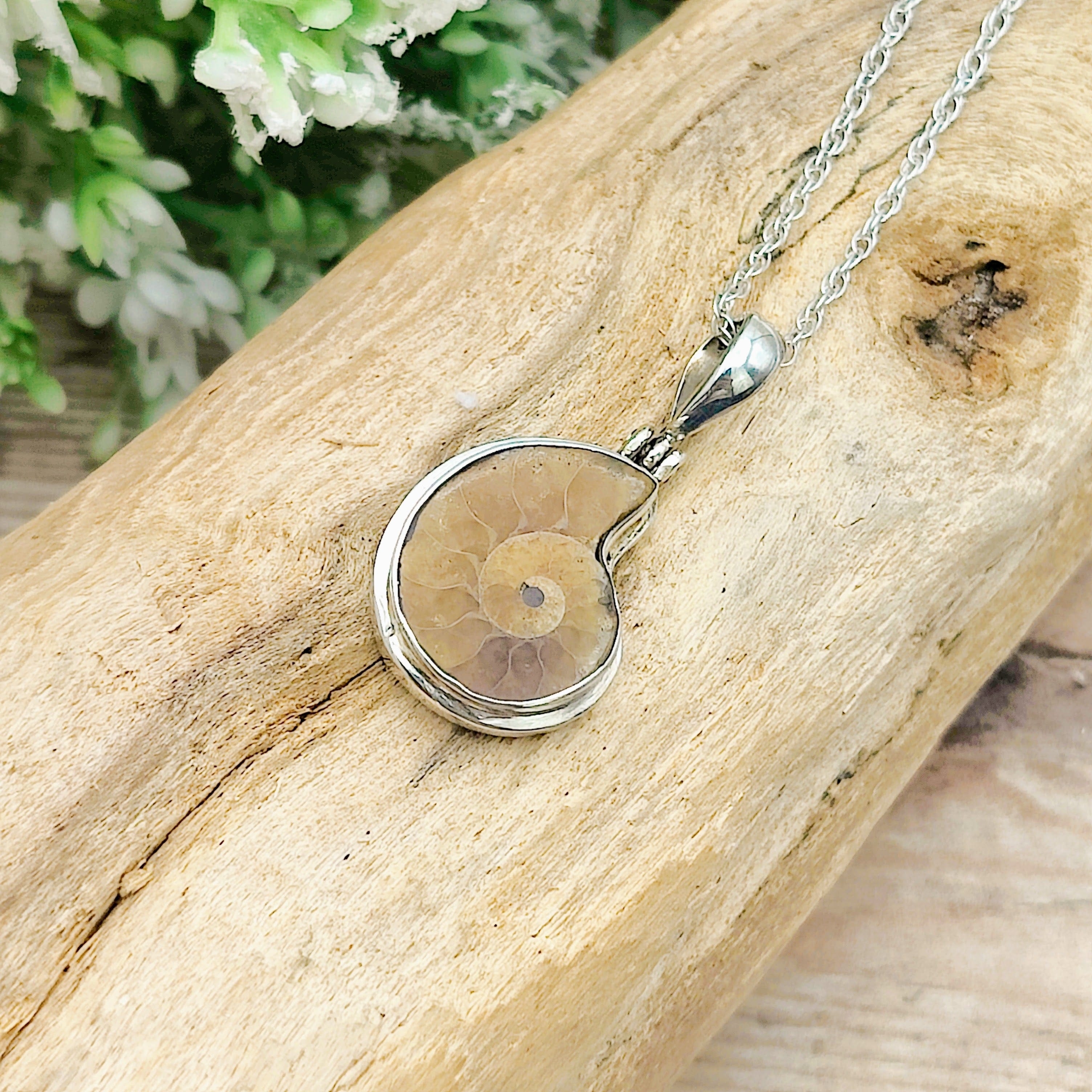 Hepburn and Hughes Ammonite Fossil Pendant | Extra Small Madagascan | Sterling Silver