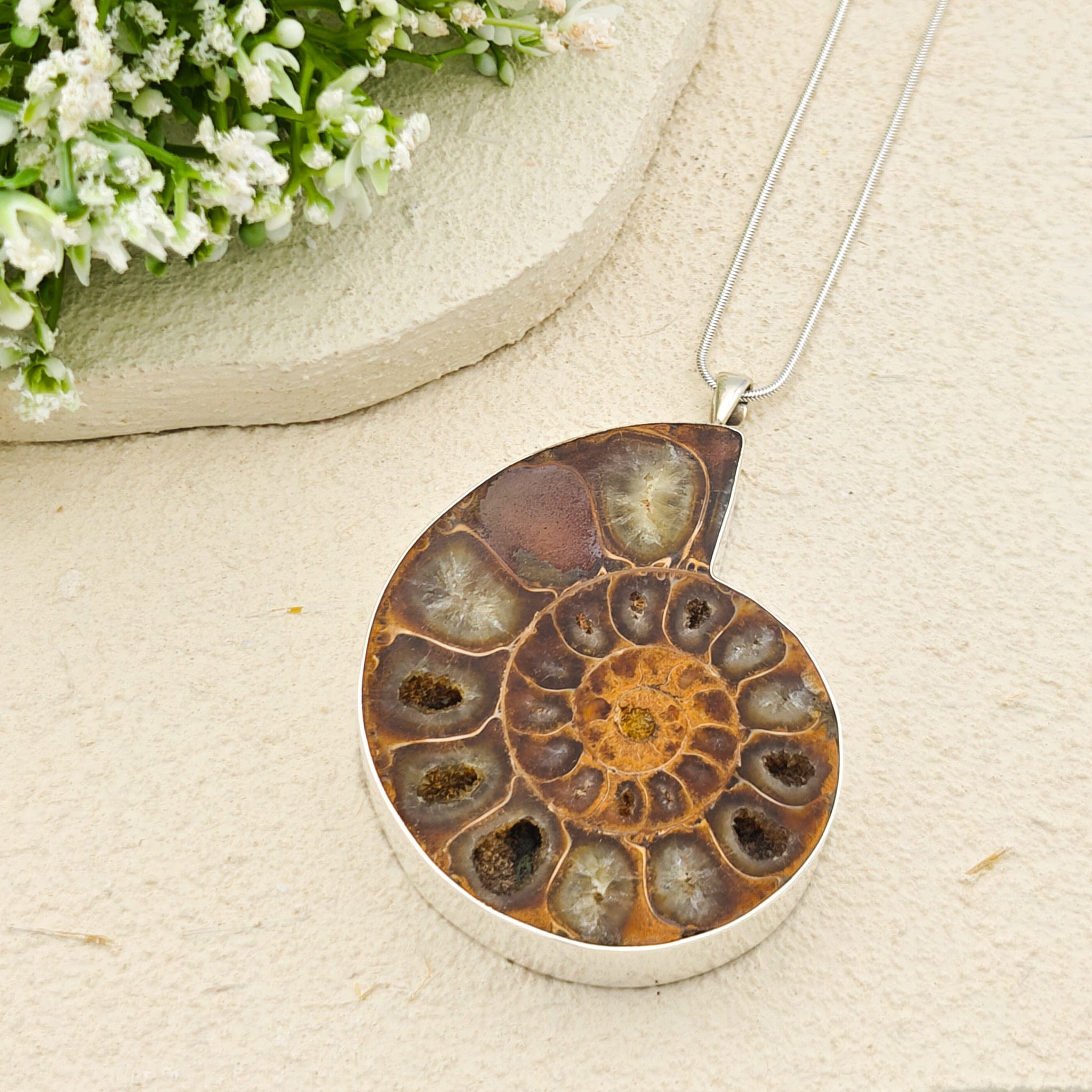 Hepburn and Hughes Ammonite Fossil Pendant | Large 70mm Madagascan | Sterling Silver