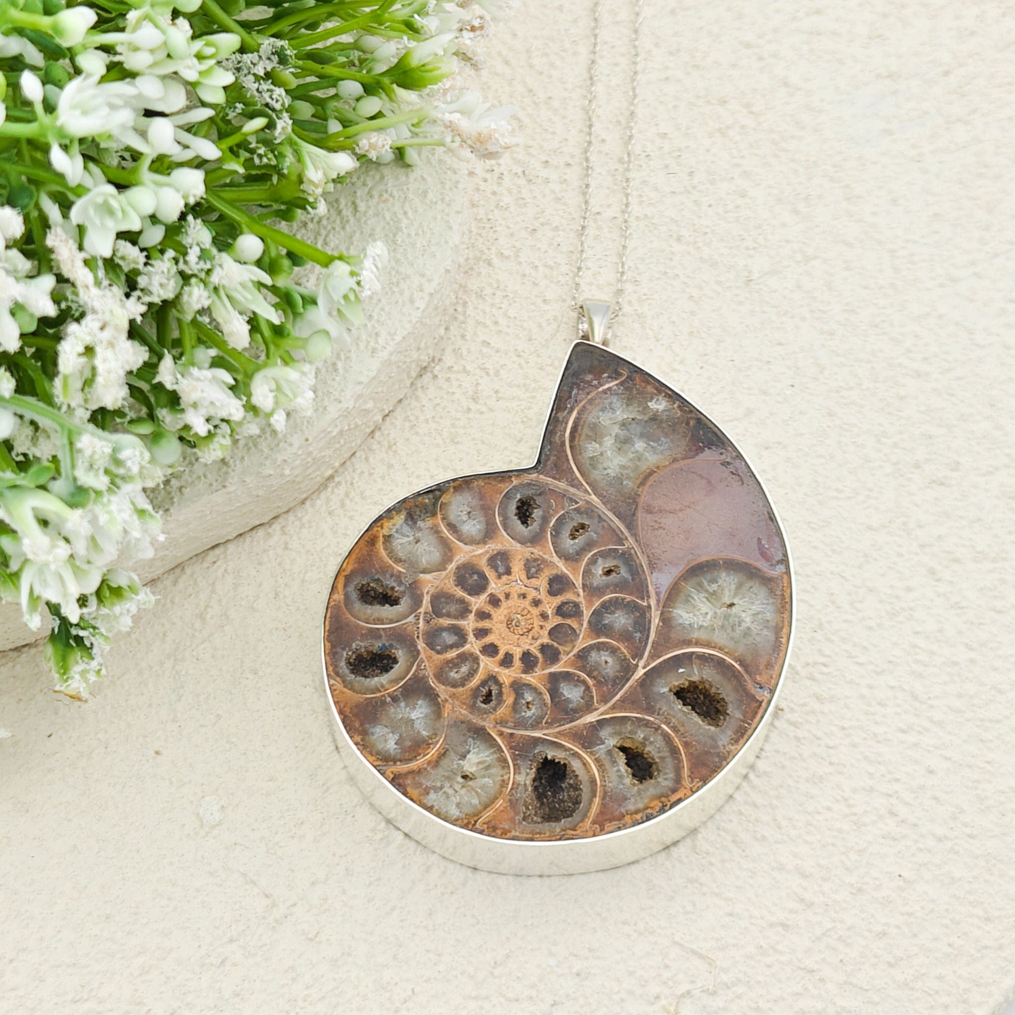 Hepburn and Hughes Ammonite Fossil Pendant | Large 70mm Madagascan | Sterling Silver