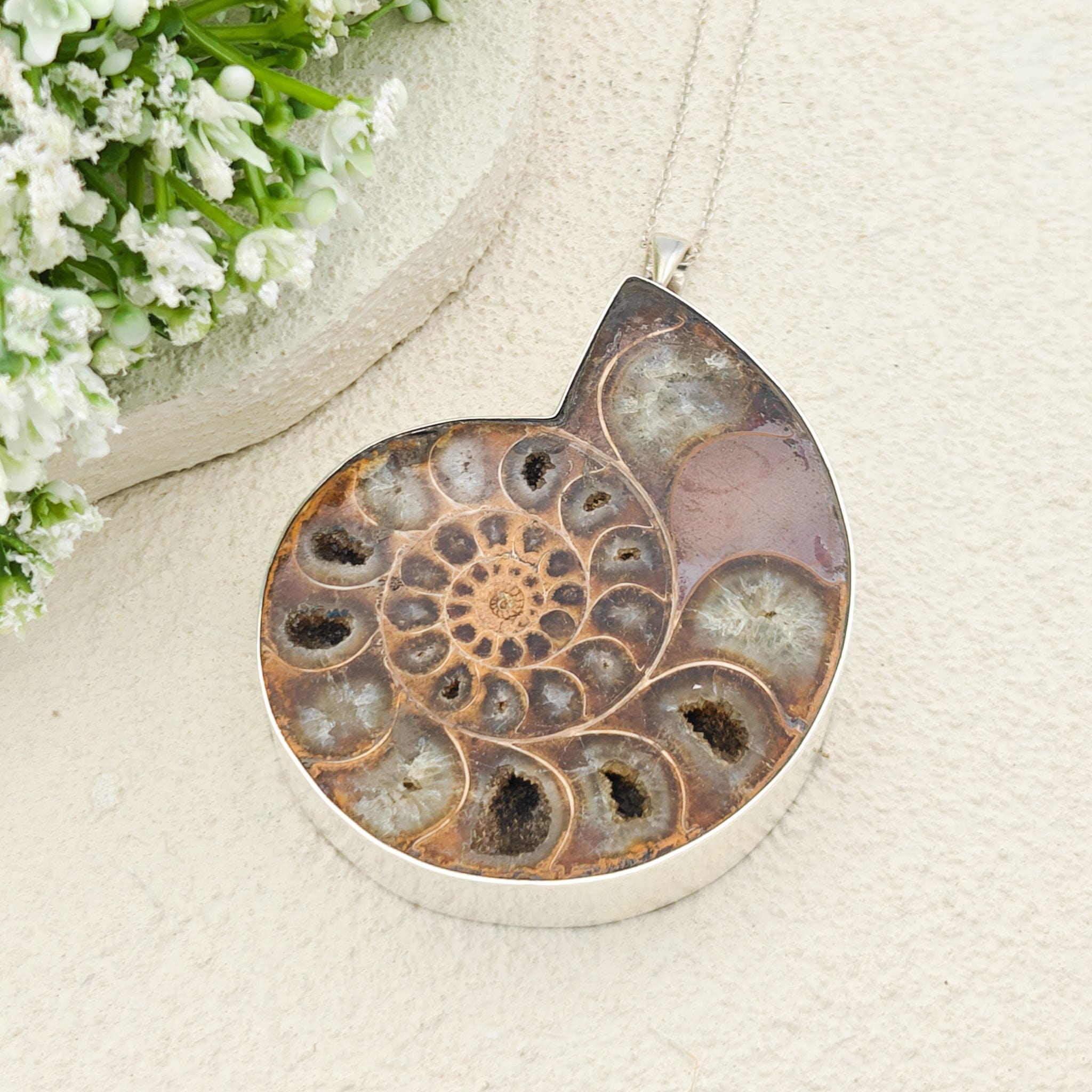 Hepburn and Hughes Ammonite Fossil Pendant | Large 70mm Madagascan | Sterling Silver
