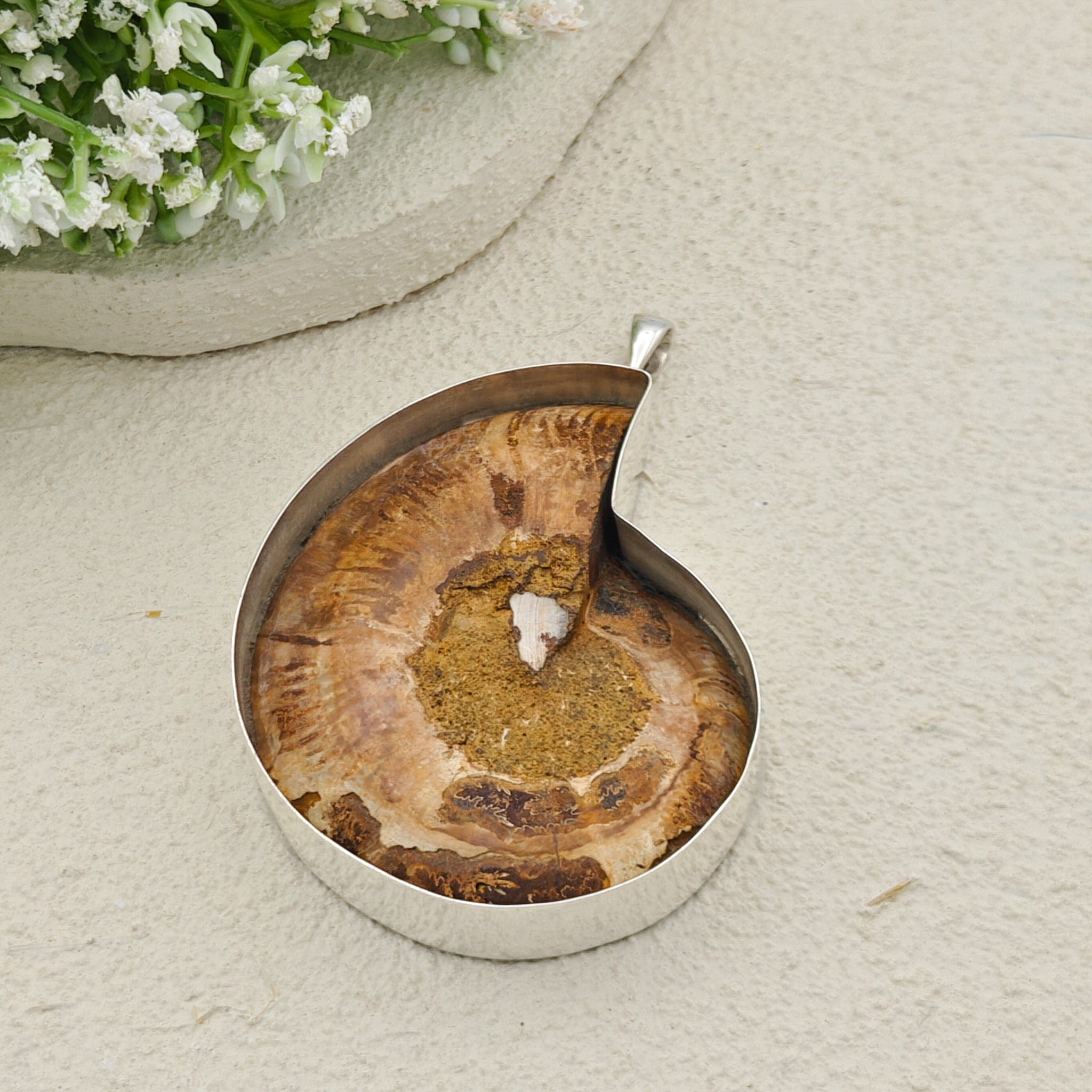 Hepburn and Hughes Ammonite Fossil Pendant | Large 70mm Madagascan | Sterling Silver