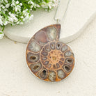 Hepburn and Hughes Ammonite Fossil Pendant | Large 70mm Madagascan | Sterling Silver