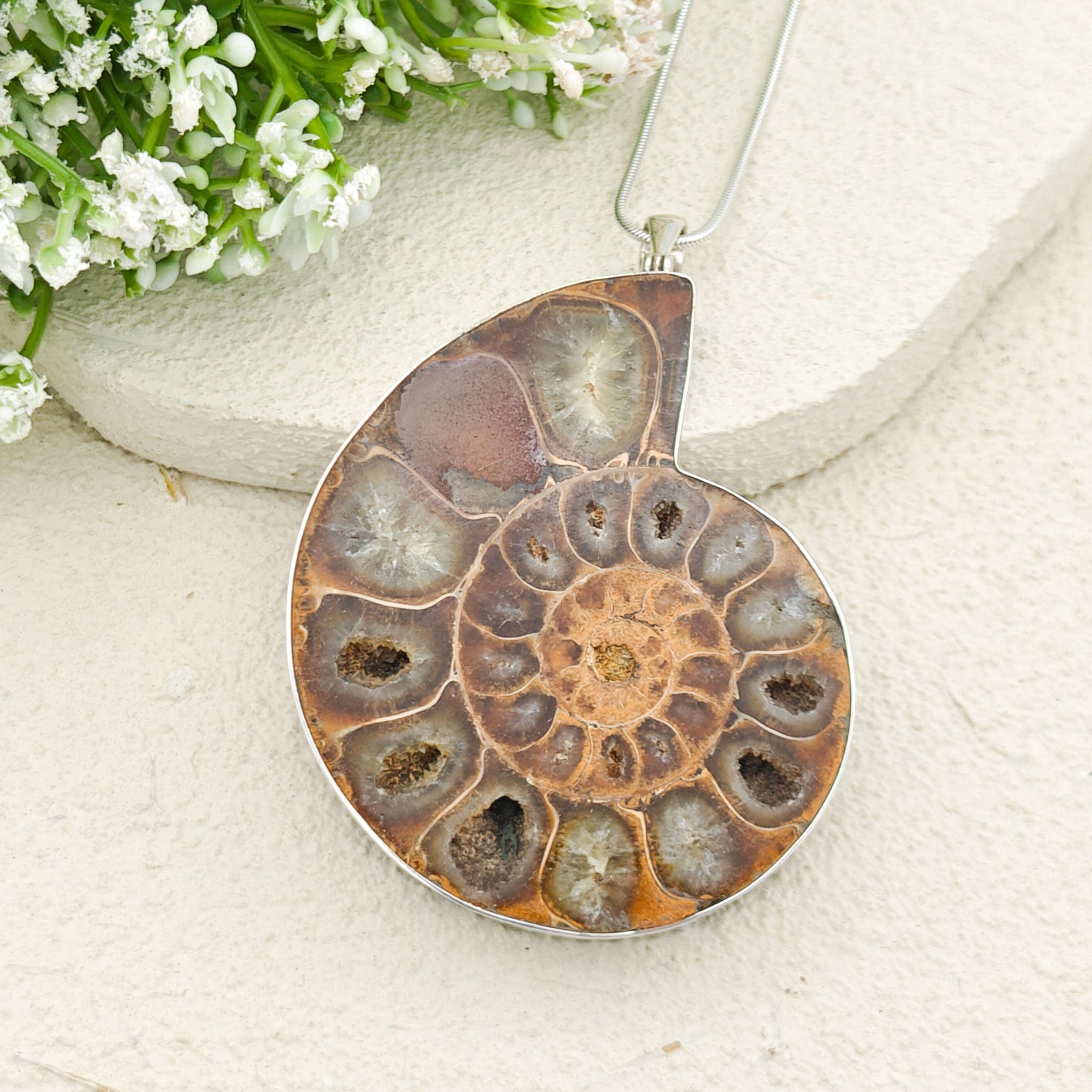 Hepburn and Hughes Ammonite Fossil Pendant | Large 70mm Madagascan | Sterling Silver