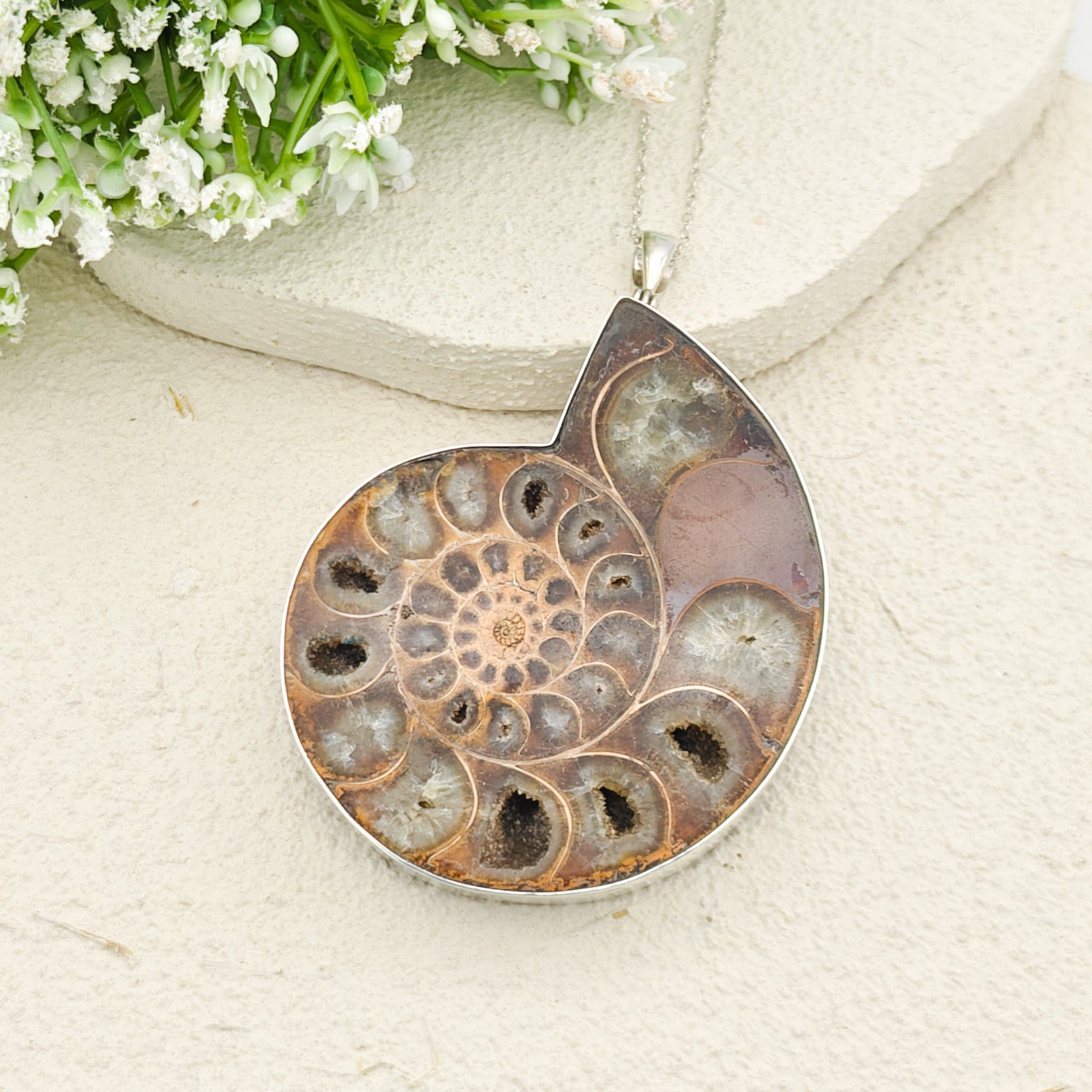 Hepburn and Hughes Ammonite Fossil Pendant | Large 70mm Madagascan | Sterling Silver