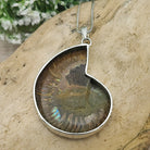 Hepburn and Hughes Ammonite Fossil Pendant | Large Madagascan | Two Options | Sterling Silver