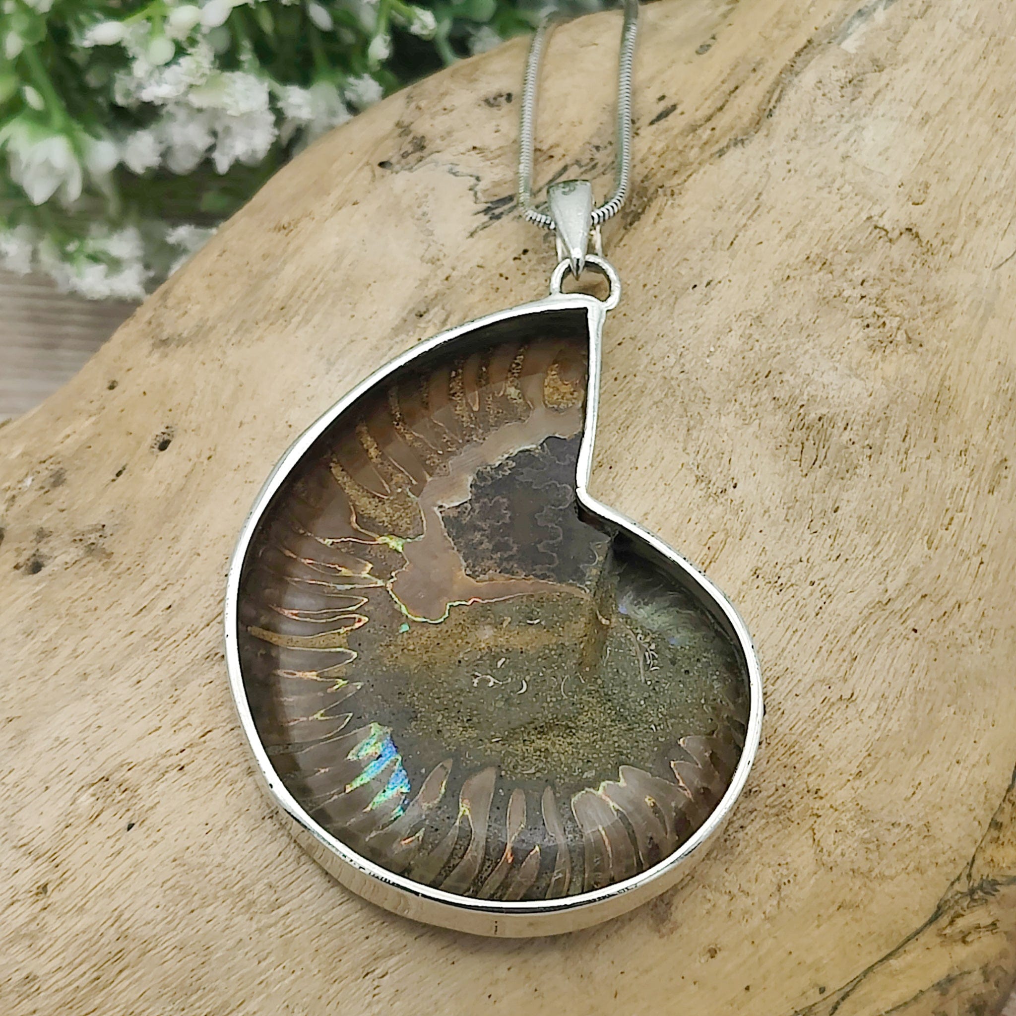 Hepburn and Hughes Ammonite Fossil Pendant | Large Madagascan | Two Options | Sterling Silver