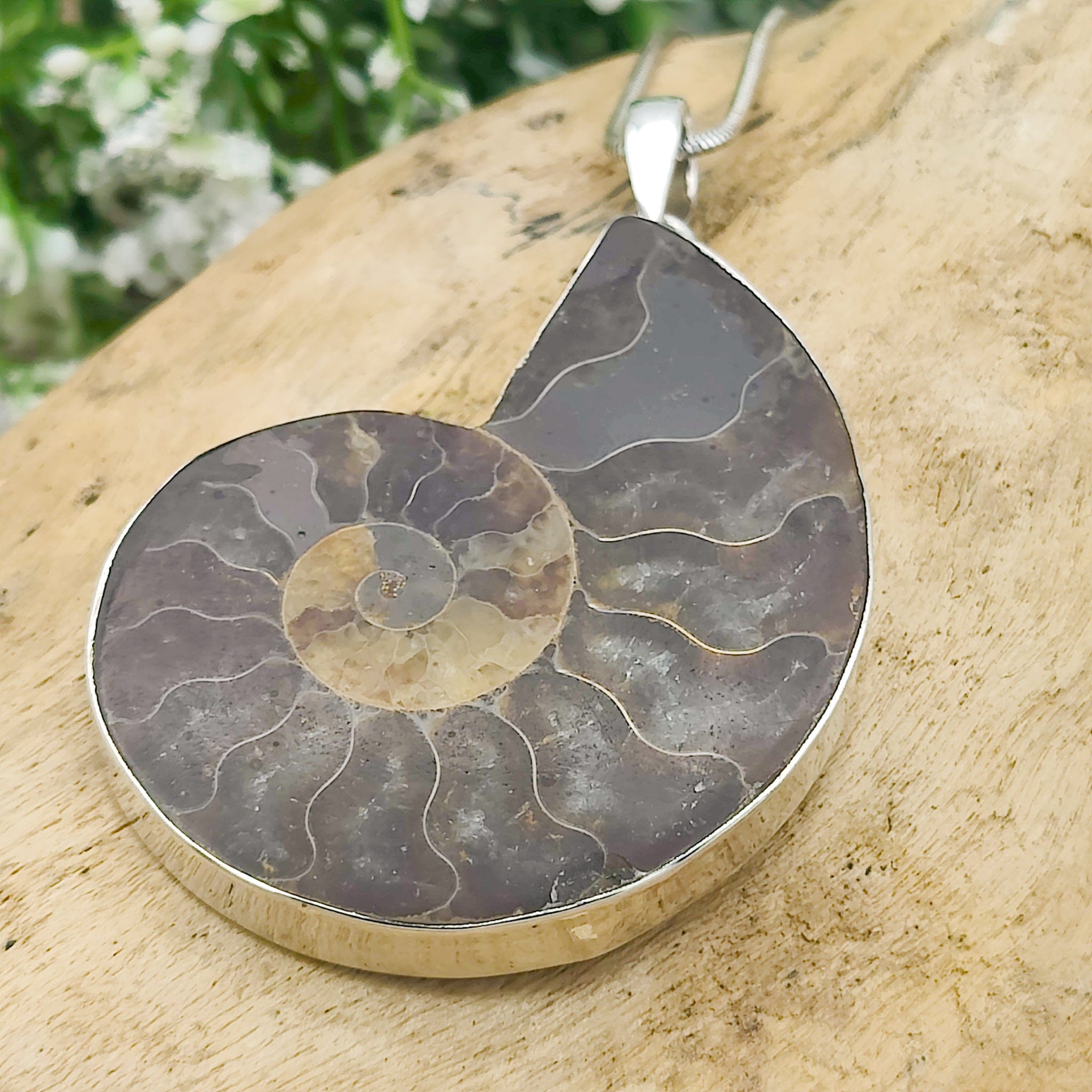 Hepburn and Hughes Ammonite Fossil Pendant | Large Madagascan | Two Options | Sterling Silver
