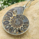 Hepburn and Hughes Ammonite Fossil Pendant | Large Madagascan | Two Options | Sterling Silver