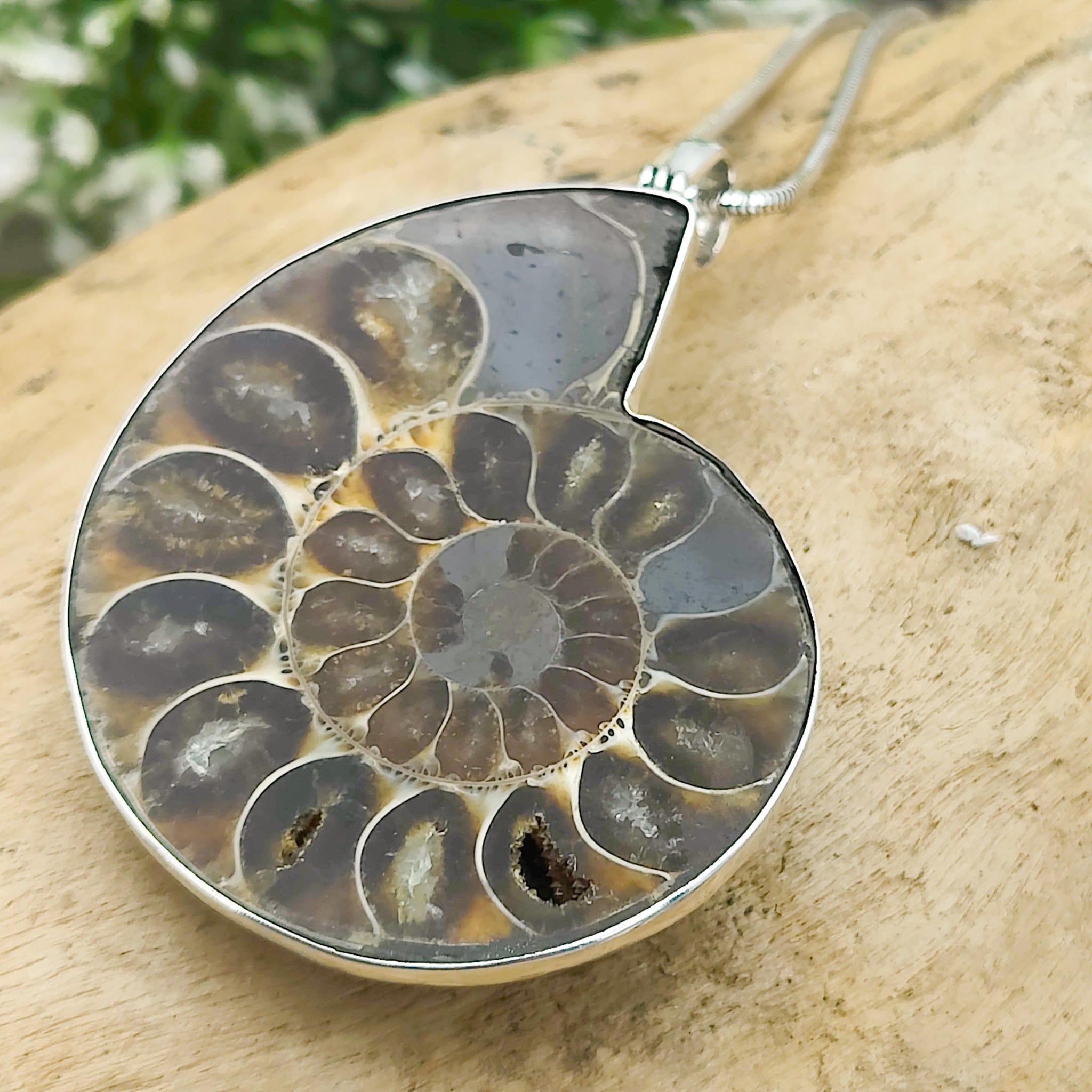 Hepburn and Hughes Ammonite Fossil Pendant | Large Madagascan | Two Options | Sterling Silver
