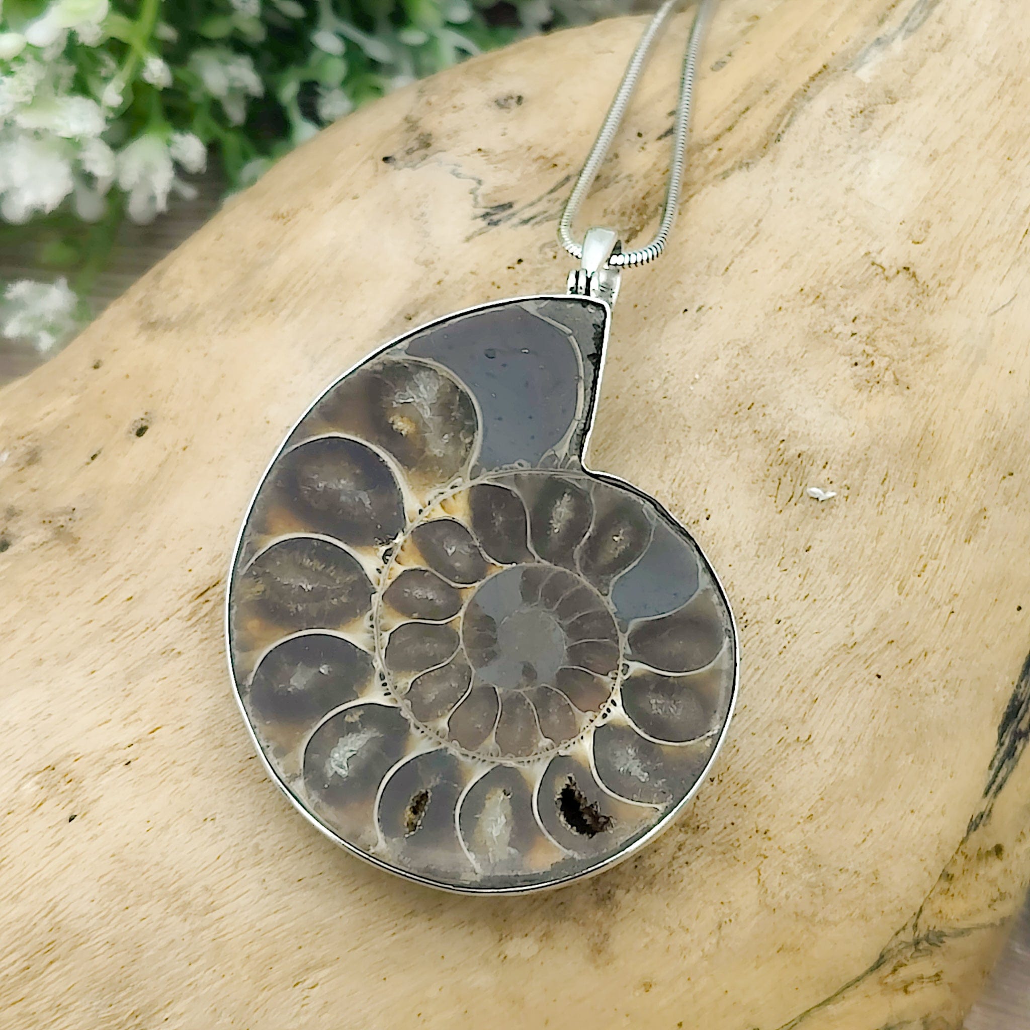 Hepburn and Hughes Ammonite Fossil Pendant | Large Madagascan | Two Options | Sterling Silver