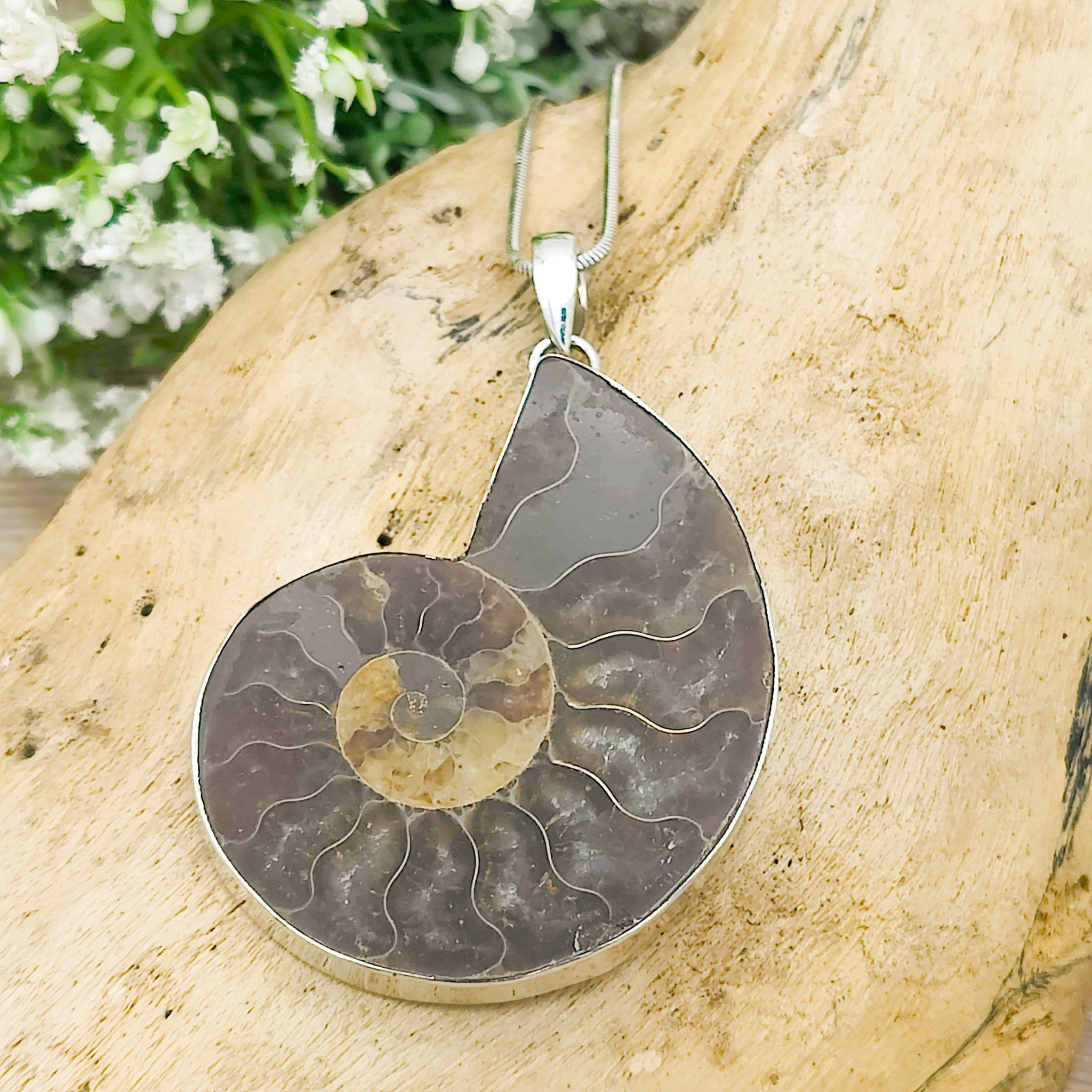 Hepburn and Hughes Ammonite Fossil Pendant | Large Madagascan | Two Options | Sterling Silver