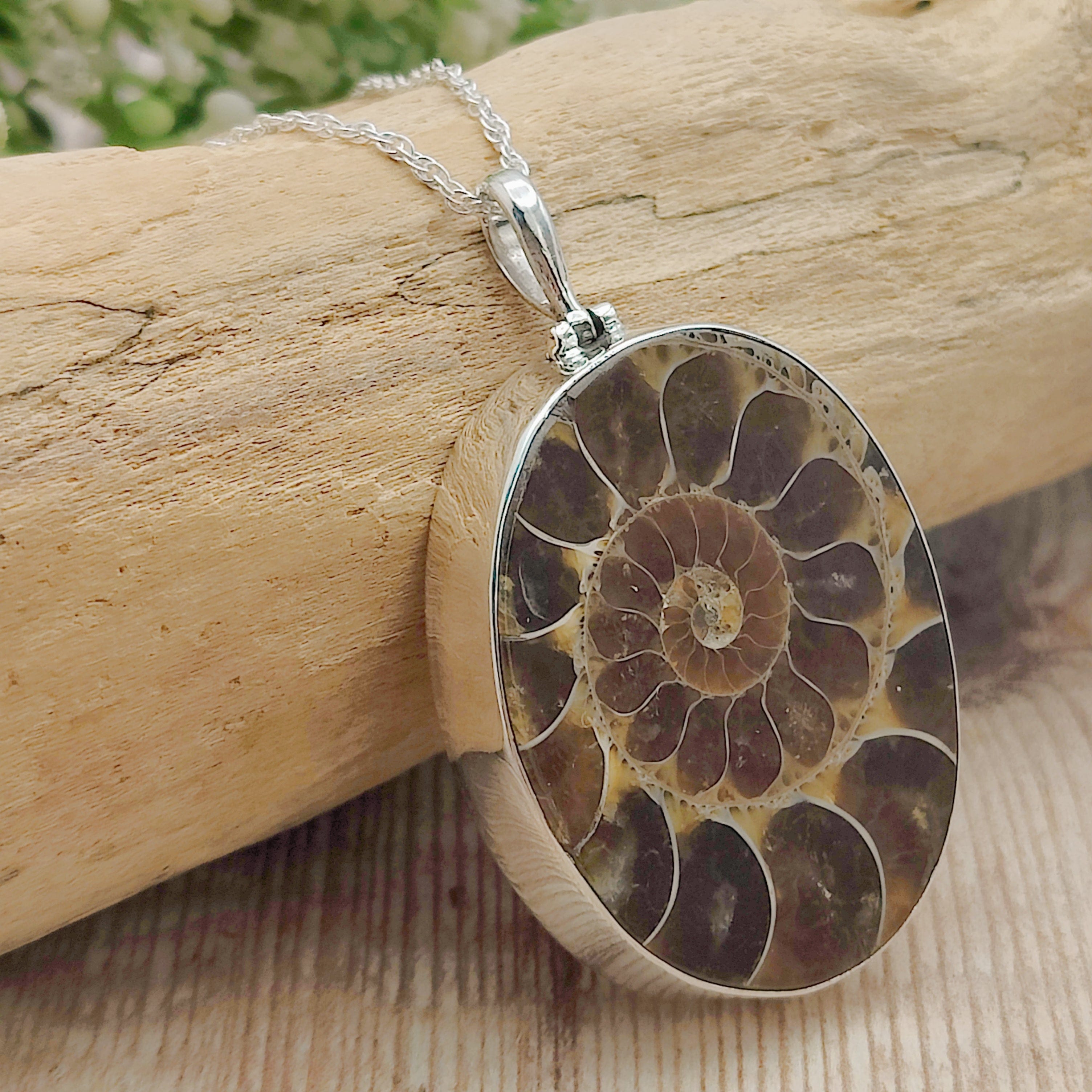 Hepburn and Hughes Ammonite Fossil Pendant | Oval | Two Options | Sterling Silver