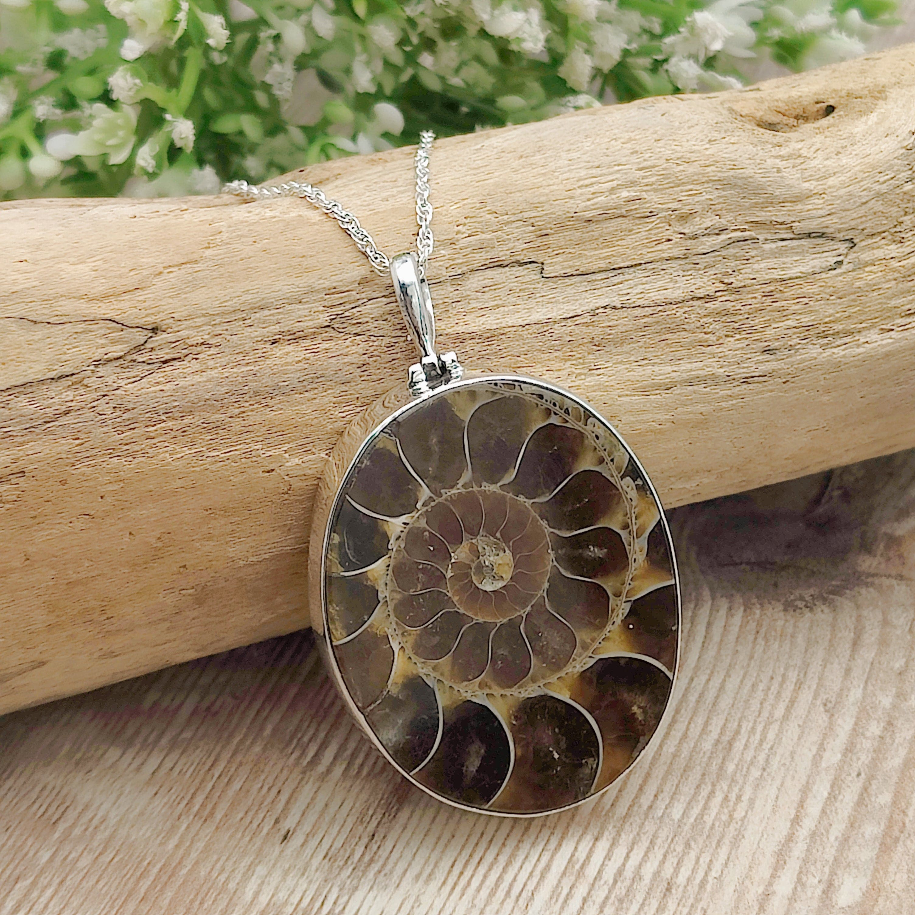 Hepburn and Hughes Ammonite Fossil Pendant | Oval | Two Options | Sterling Silver