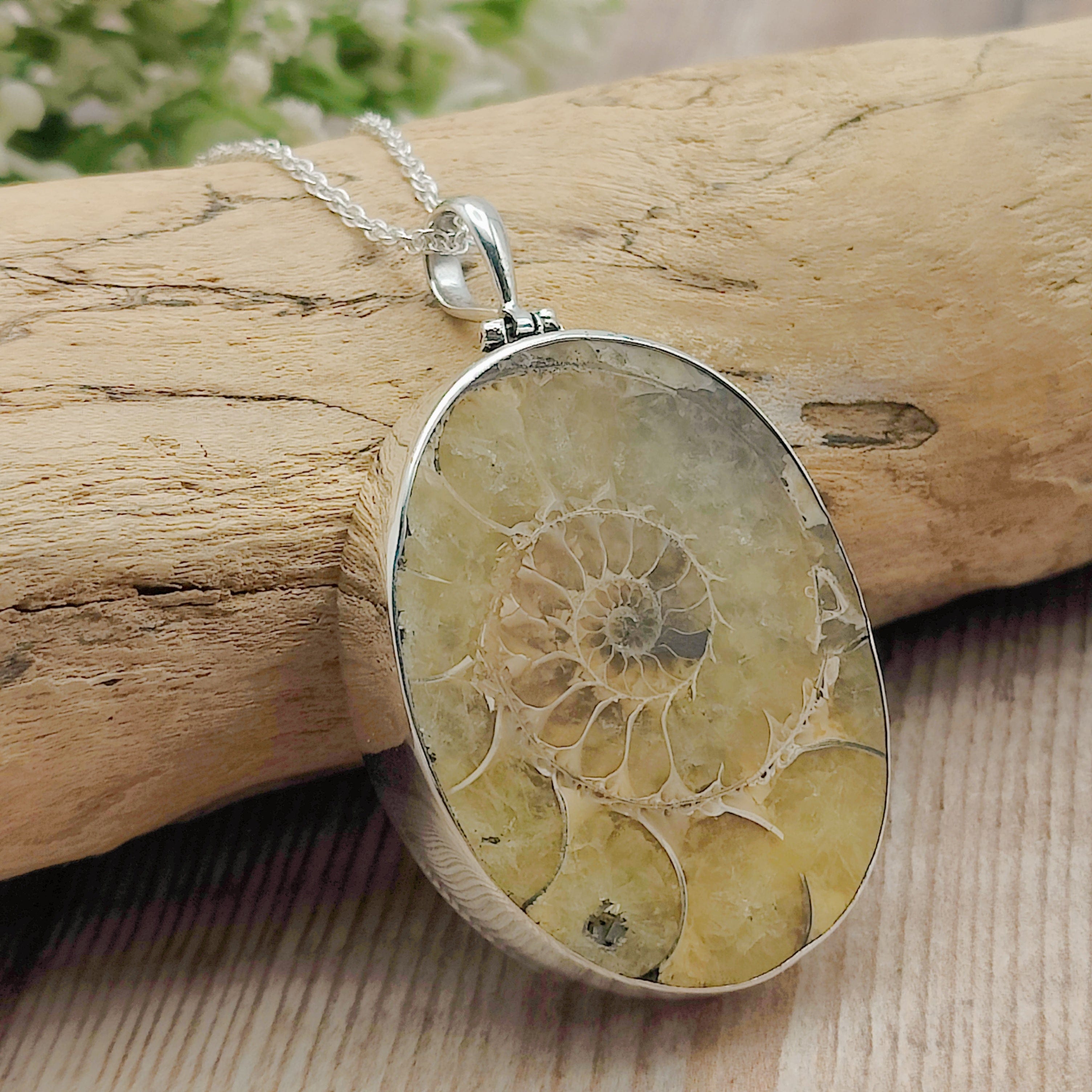 Hepburn and Hughes Ammonite Fossil Pendant | Oval | Two Options | Sterling Silver