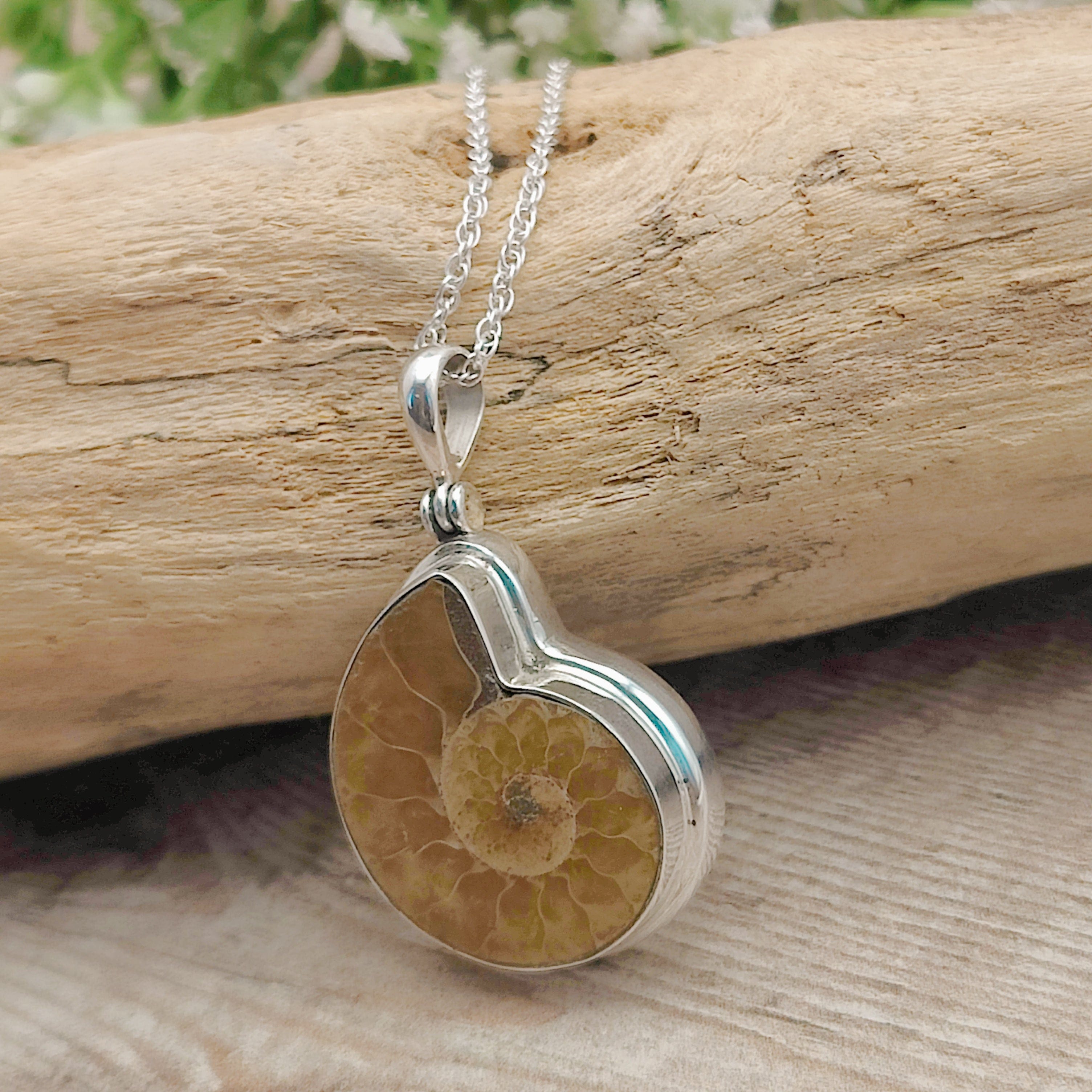 Hepburn and Hughes Ammonite Necklace | Madagascan Pendant | Fossil Gift | Sterling Silver