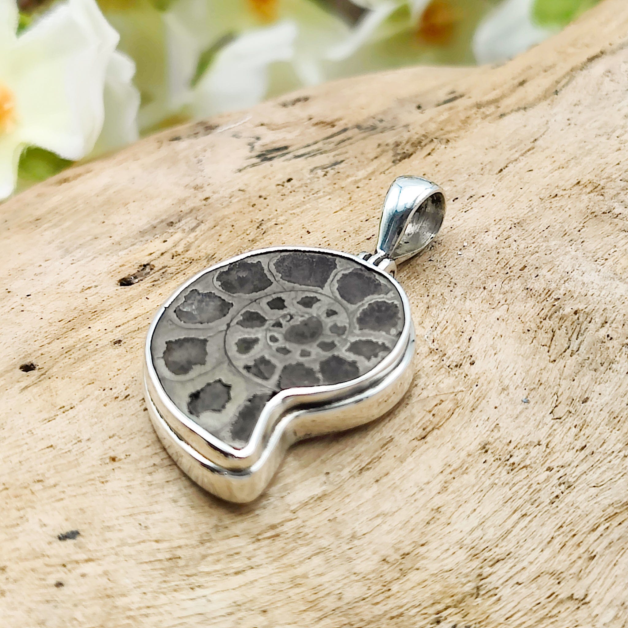 Hepburn and Hughes Ammonite Pendant | 23mm Pyrite | Sterling Silver