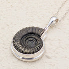 Hepburn and Hughes Ammonite Pendant | 25mm Promicroceras Fossil Necklace | Sterling Silver